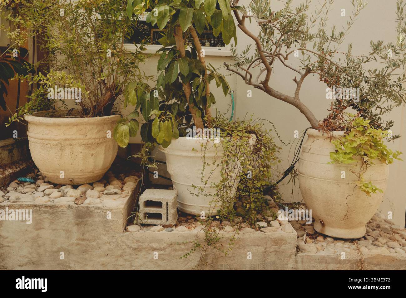 Vasi da giardino ispirati al vintage in Warm Tones Foto Stock