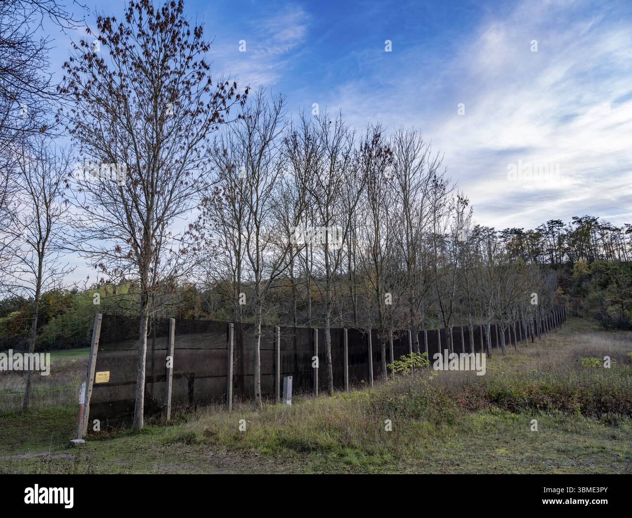 Incrocio di alberi vicino a Ifta (Turingia) sull'ex confine tedesco-tedesco tra Kassel (Assia) e Eisenach (Turingia), vista da ovest a est, Ifta Foto Stock