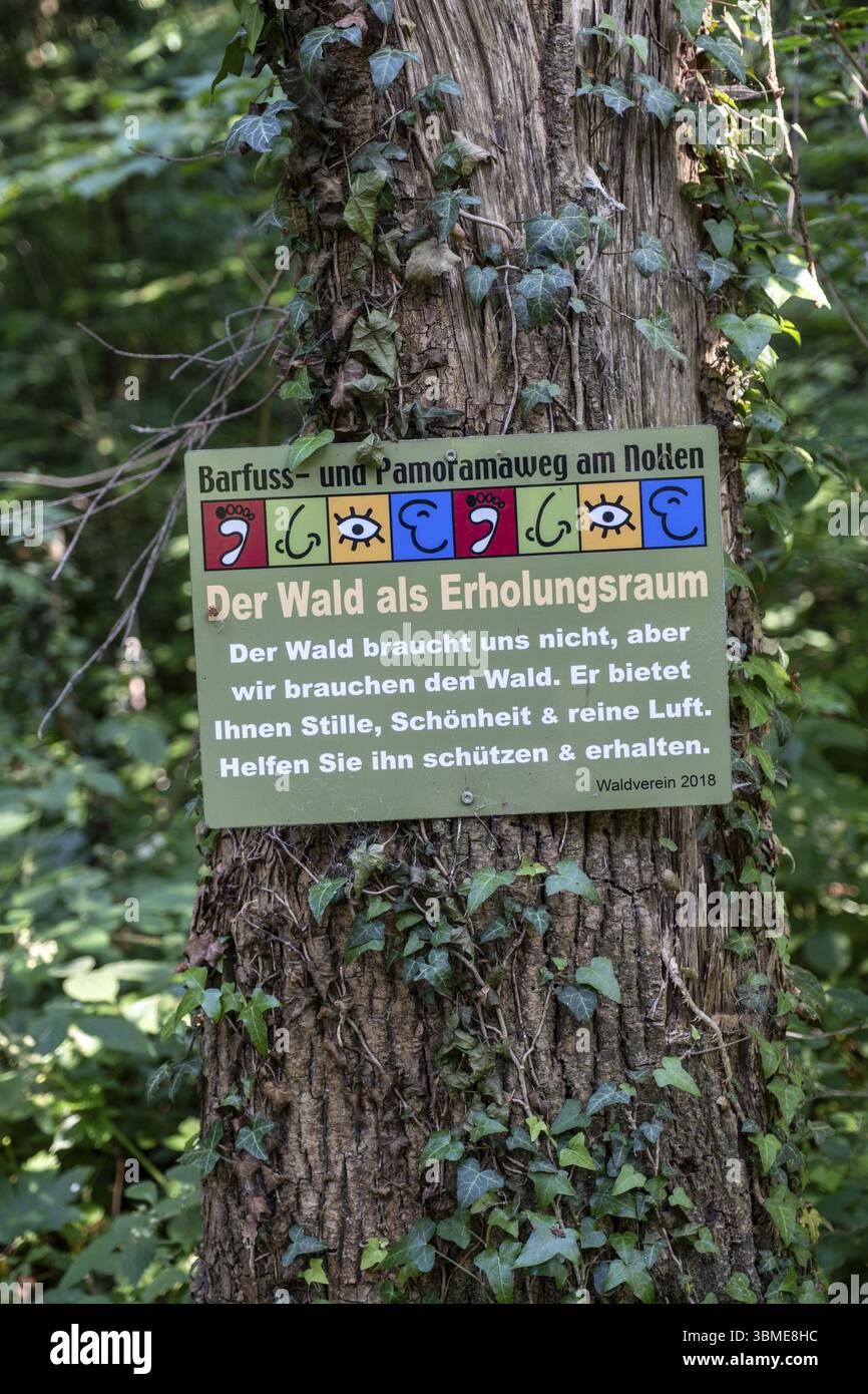 Firma la foresta come spazio ricreativo su un ceppo d'albero sul sentiero a piedi nudi di Wuppenau a Nollen, Wuppenau, Thurgau, Svizzera, Europa Foto Stock