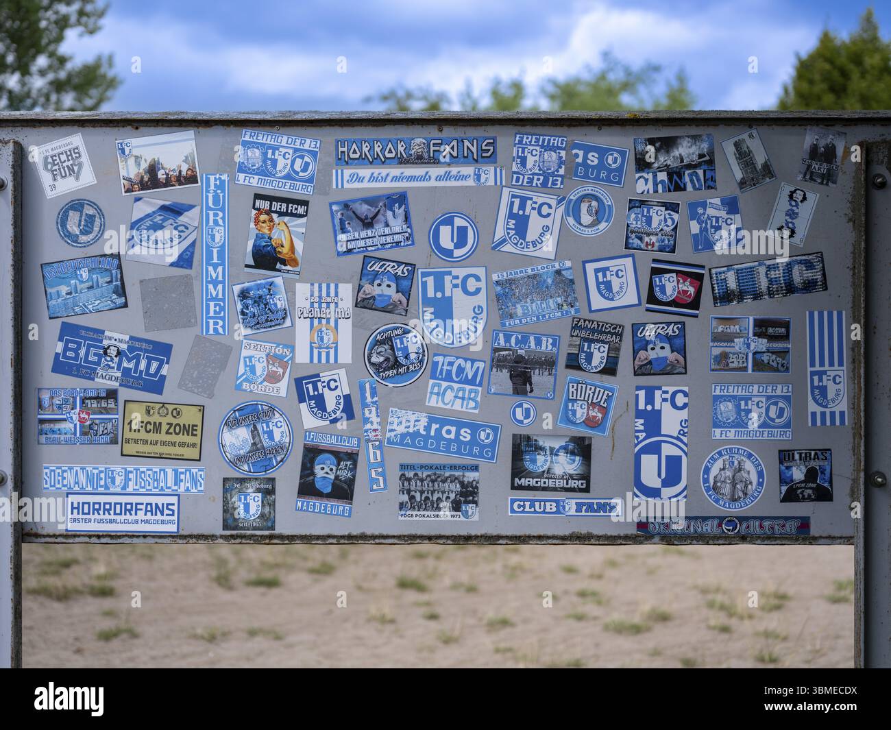 Adesivi di Ultras, fan dell'horror, fan hardcore della squadra di calcio 1. FC Magdeburg su una tavola al Jersleber SEE, Jersleben, Sassonia-Anhalt, Germania Foto Stock