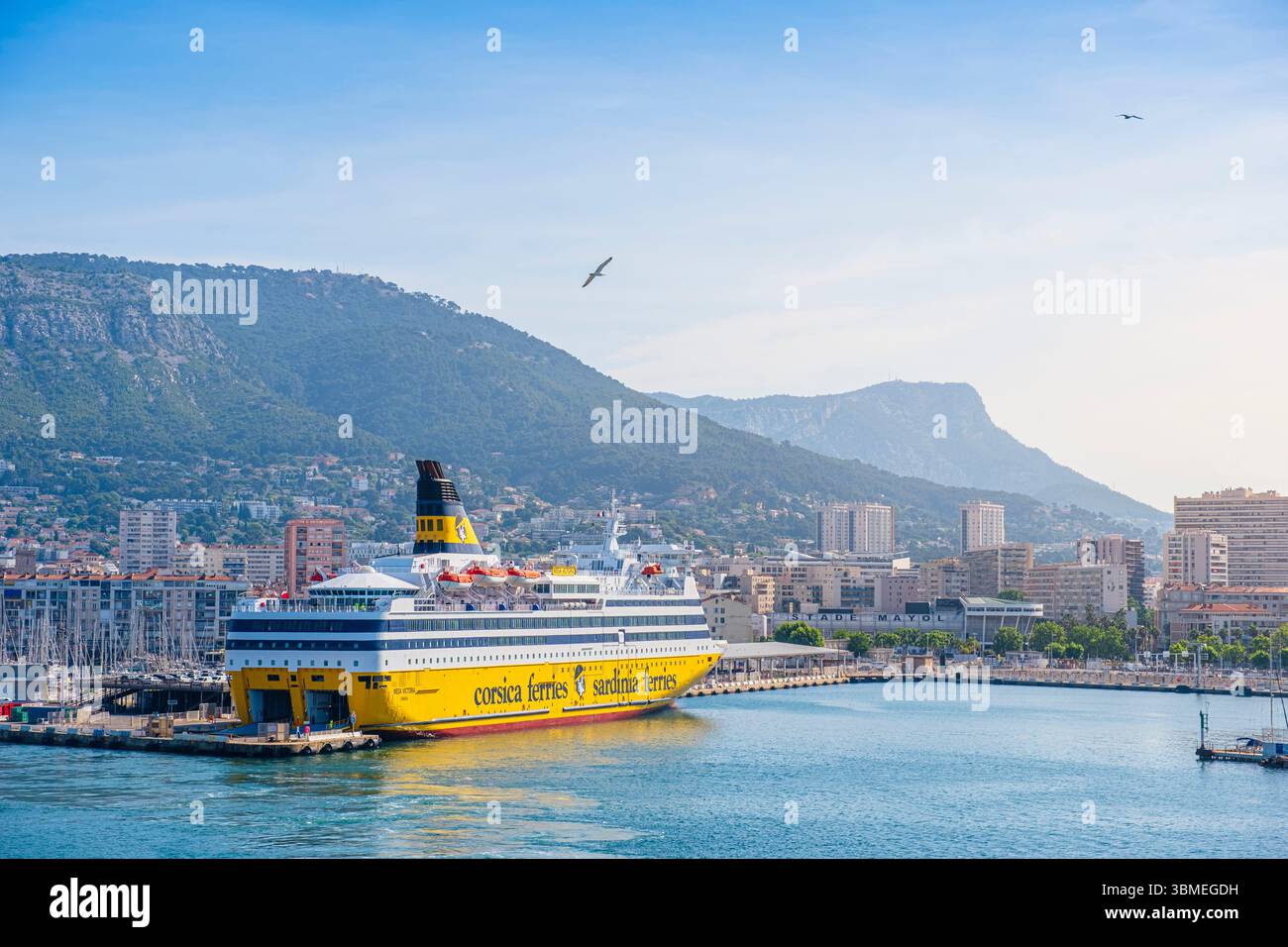 Francia, Var, Tolone, porto, traghetto per la Corsica, compagnia Corsica Ferries Foto Stock