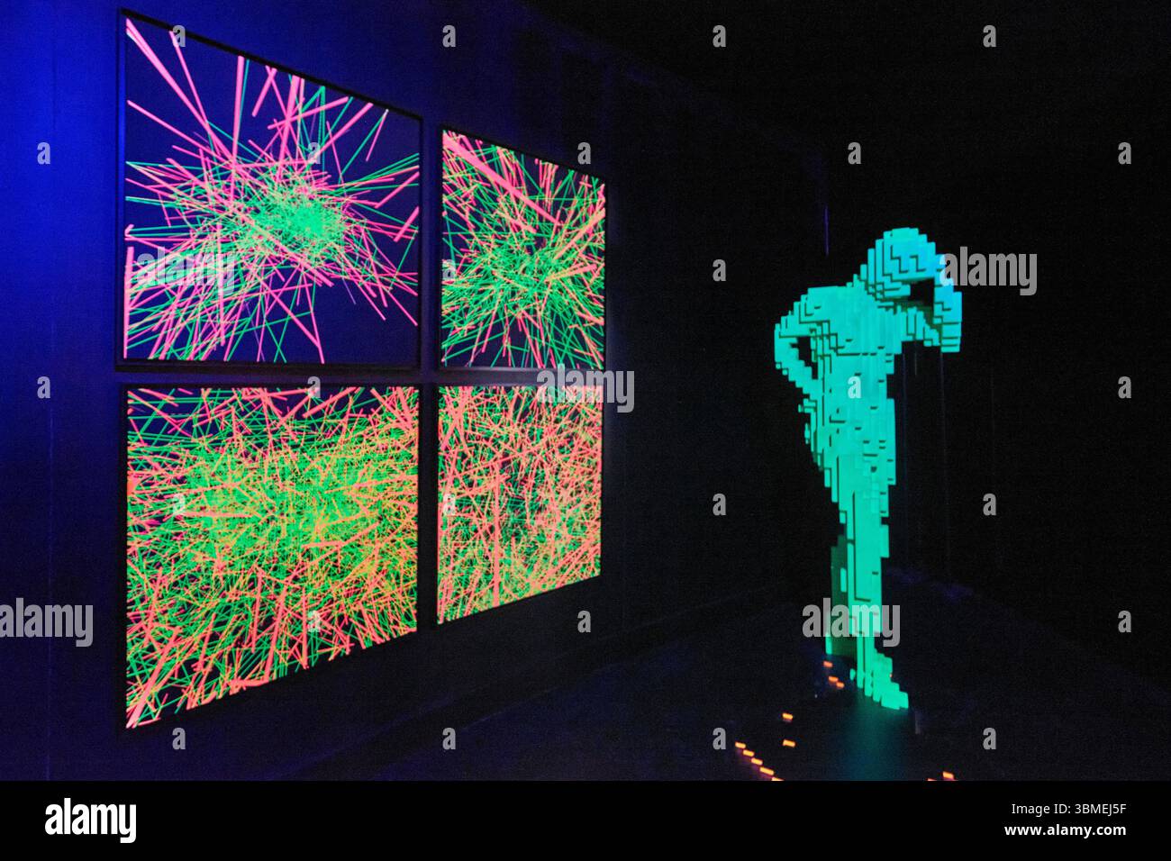 Francia, Parigi, Grand Palais immersivo nei locali dell'Opera Bastille, mostra pixel dedicata a Miguel Chevalier, esperienza interattiva con l'universo creativo dell'intelligenza artificiale Foto Stock