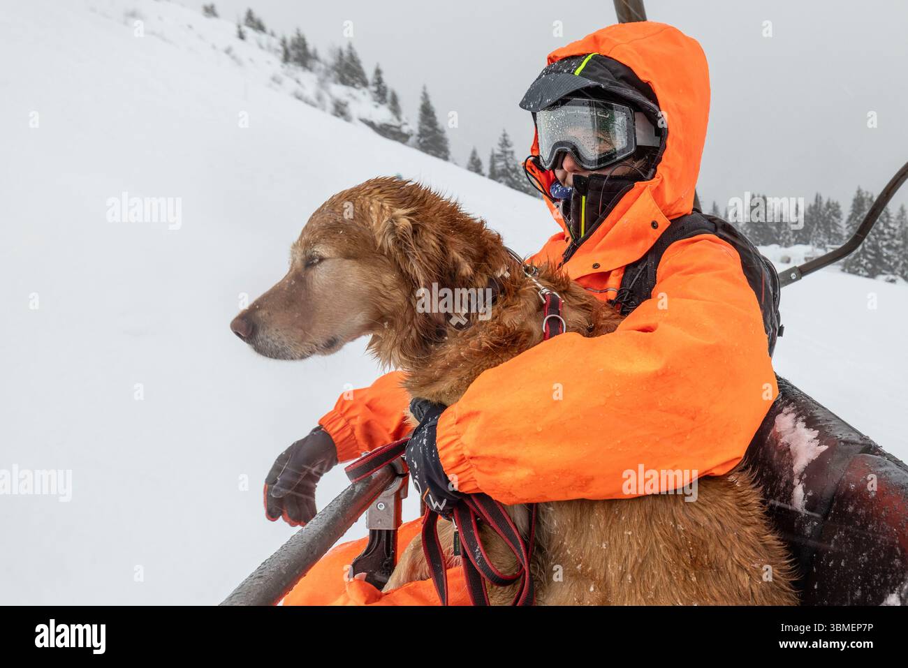 Francia, alta Savoia, Avoriaz, Juliette Claye, una delle rare donne che si occupano di cani e il suo cane Recco sulla seggiovia Foto Stock