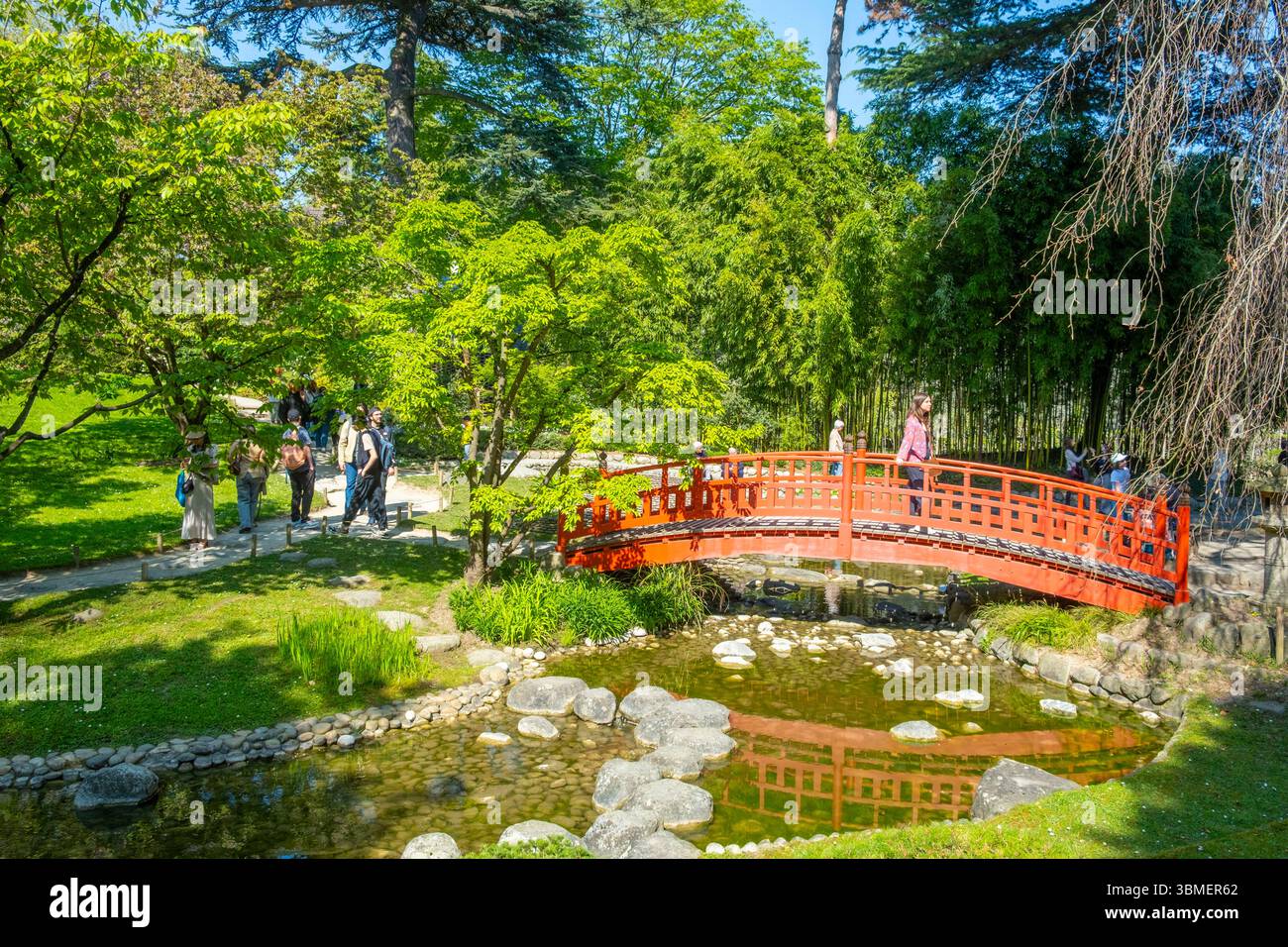 Francia, Hauts de Seine, Boulogne Billancourt, il giardino dipartimentale e museo Albert Kahn, il giardino giapponese contemporaneo, il ponte giapponese Foto Stock