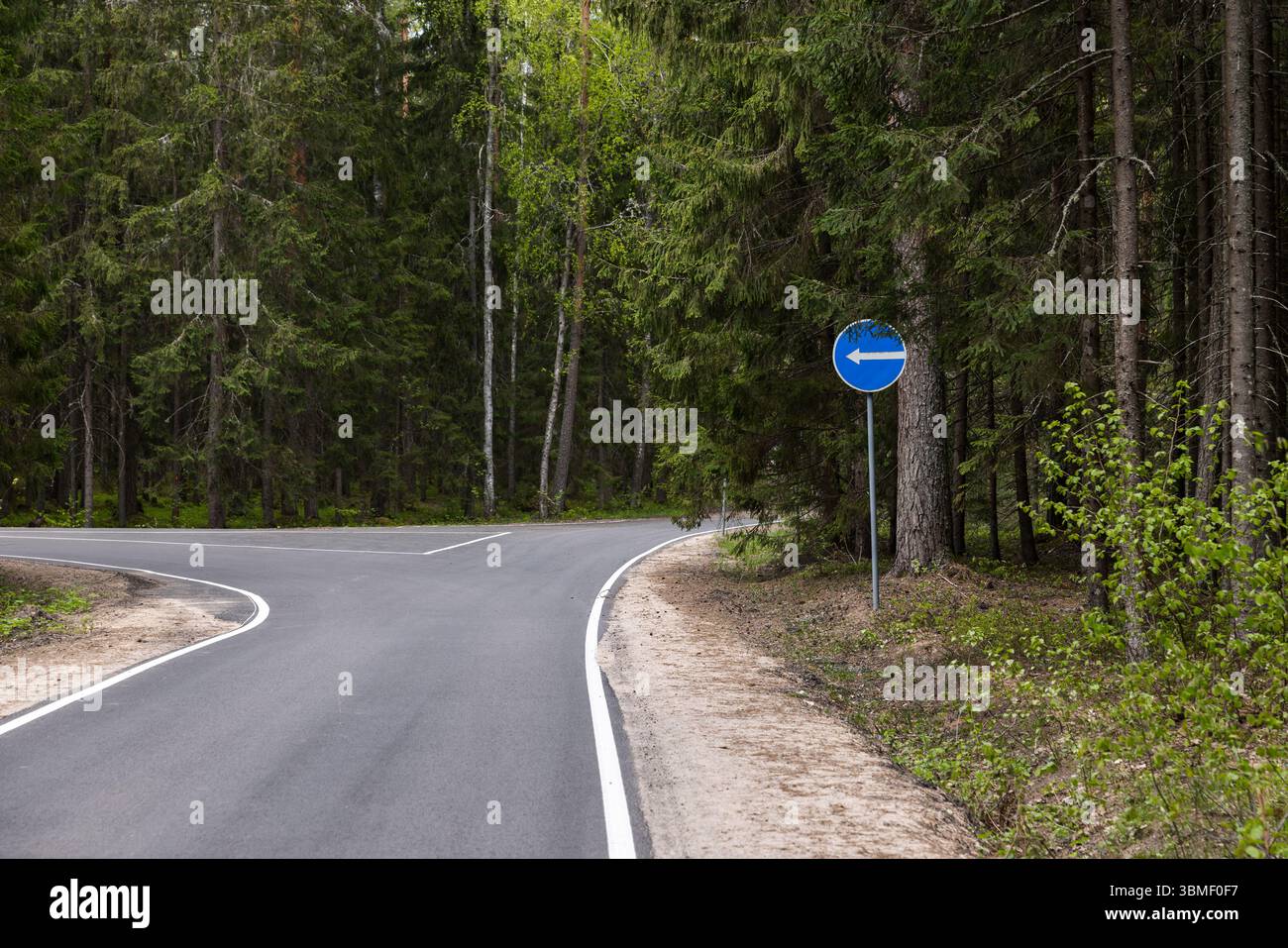 Una strada asfaltata vuota che si snoda attraverso una lussureggiante foresta verde con un'evidente segnaletica stradale blu che dirige a sinistra Foto Stock