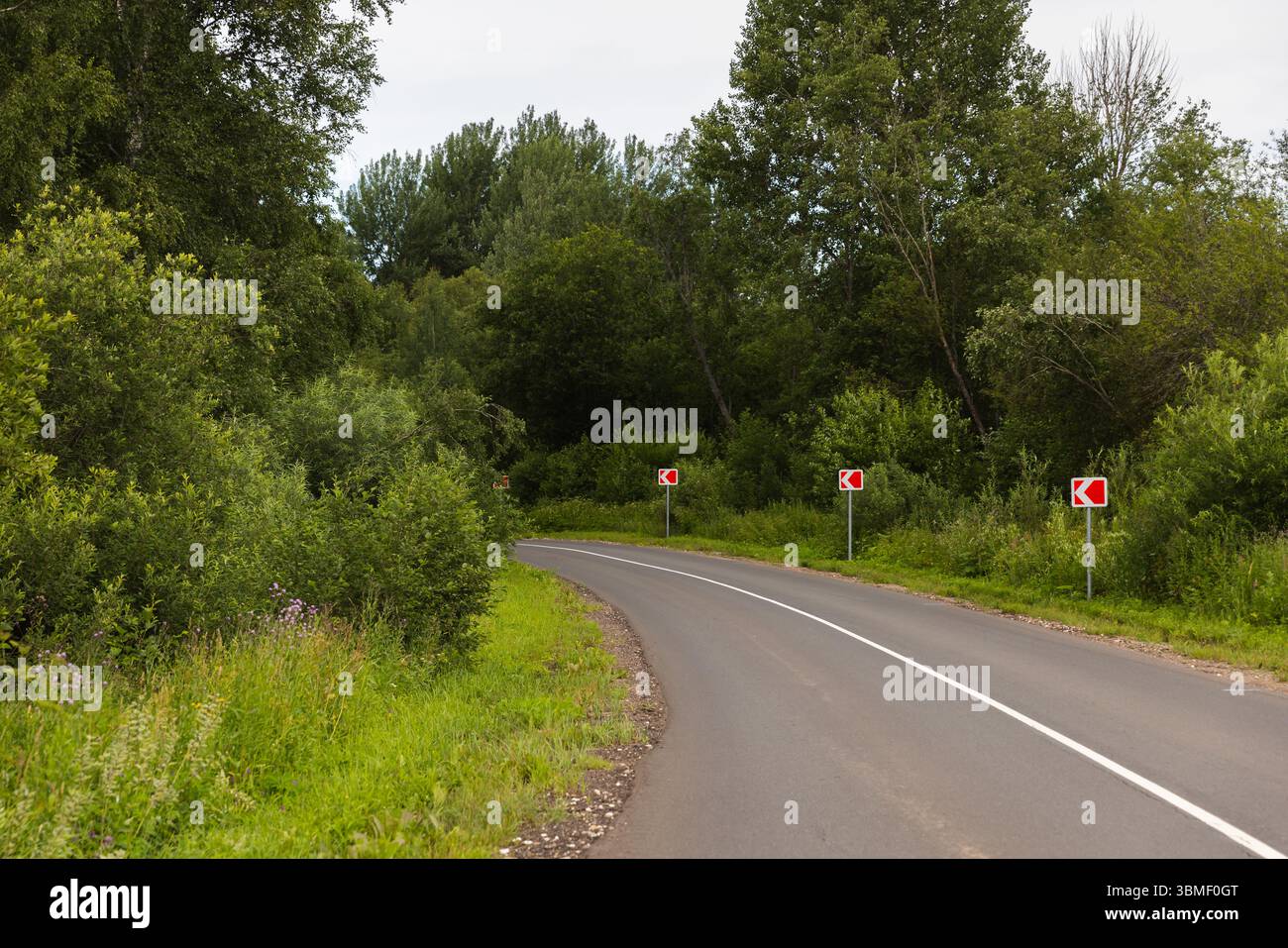 Una strada tortuosa circondata da alberi e segnata da segnali stradali che indicano una curva. Adatto per l'illustrazione di trasporti, viaggi in campagna, e. Foto Stock