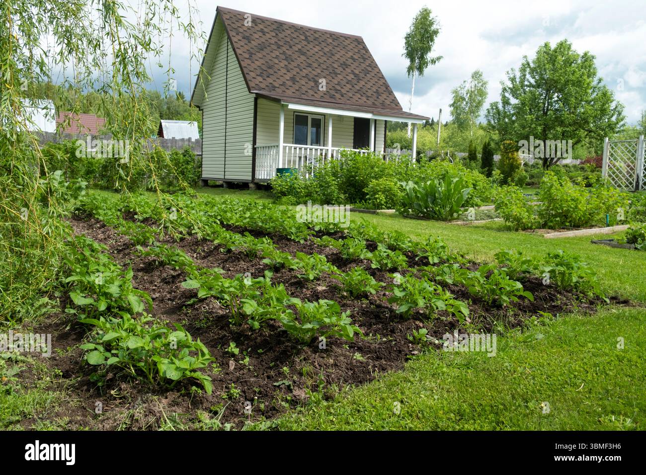 Il giardino era bellissimo e ben curato. Foto Stock