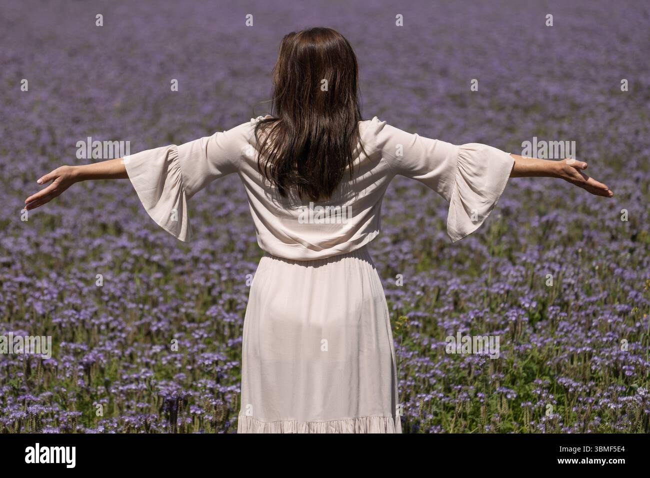 Donna che abbraccia la natura nel Purple Meadow Foto Stock