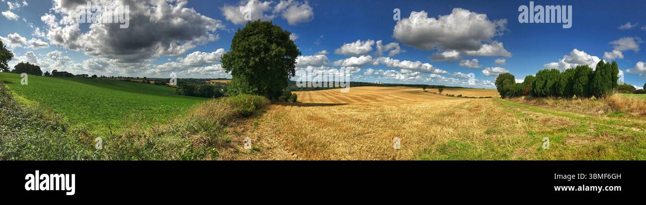 Un panorama panoramico che cattura lussureggianti campi verdi e dorati sotto un cielo blu parzialmente nuvoloso, evocando un fascino naturale e rurale e tranquilli setti di campagna Foto Stock