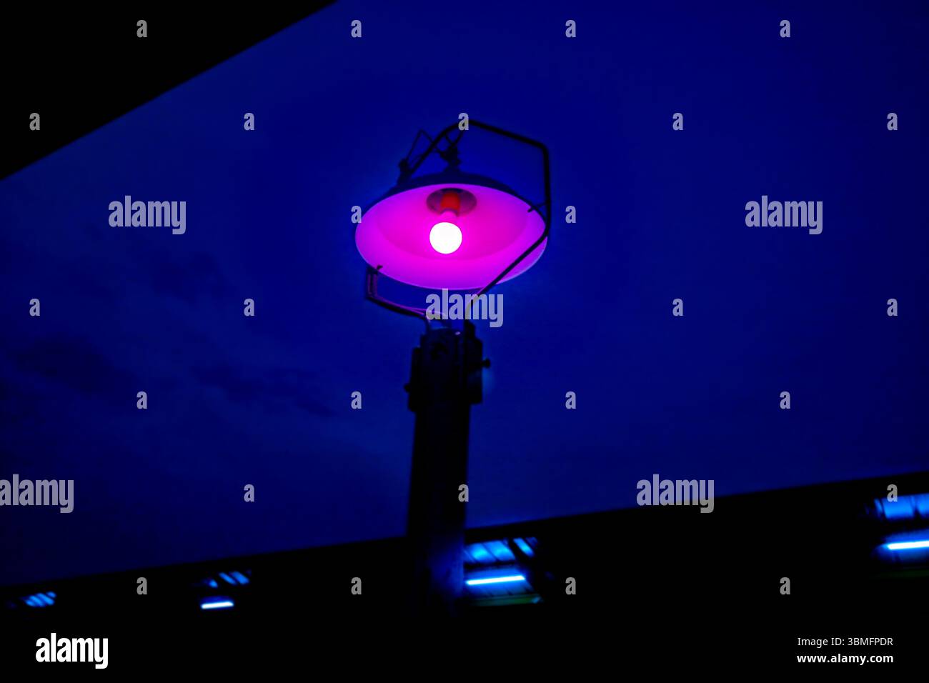 Lampada station rosa neon illuminata sotto il cielo notturno blu intenso, con luce blu dietro. Luce notturna urbana, atmosfera cyberpunk cittadina, atmosfera moderna. Foto Stock