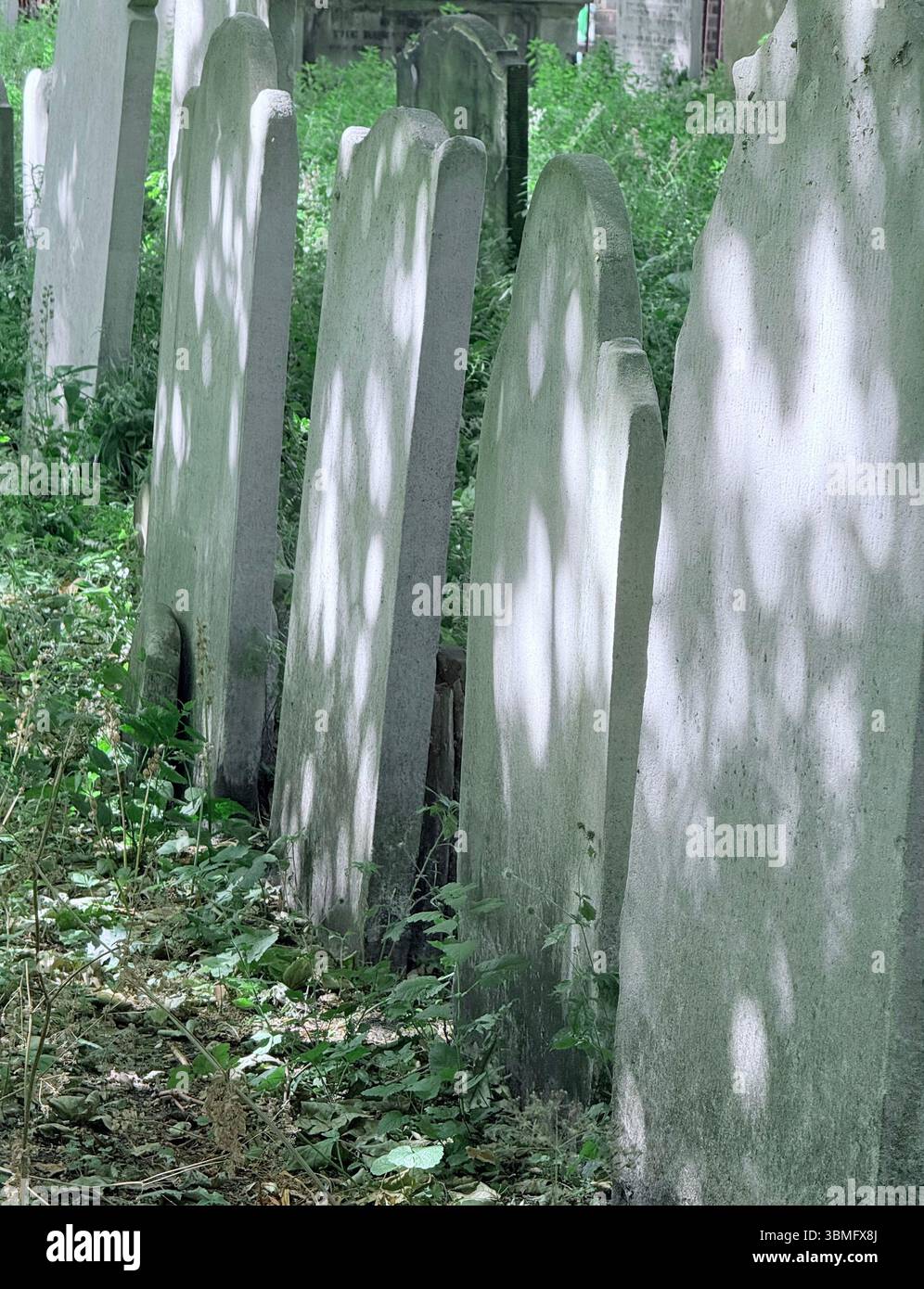 Tombe nel cimitero di Bunhill Fields, Londra - Immagine stock catturata con smartphone
