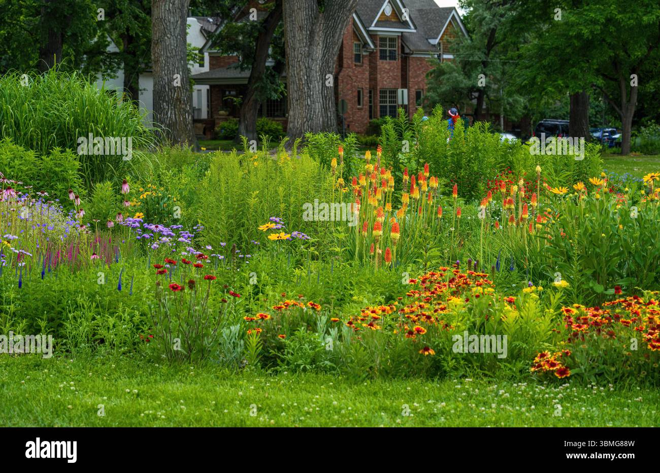 Un giardino estivo al Washington Park di Denver, Colorado, pieno di piante e fiori duri durante il 4 luglio. Foto Stock