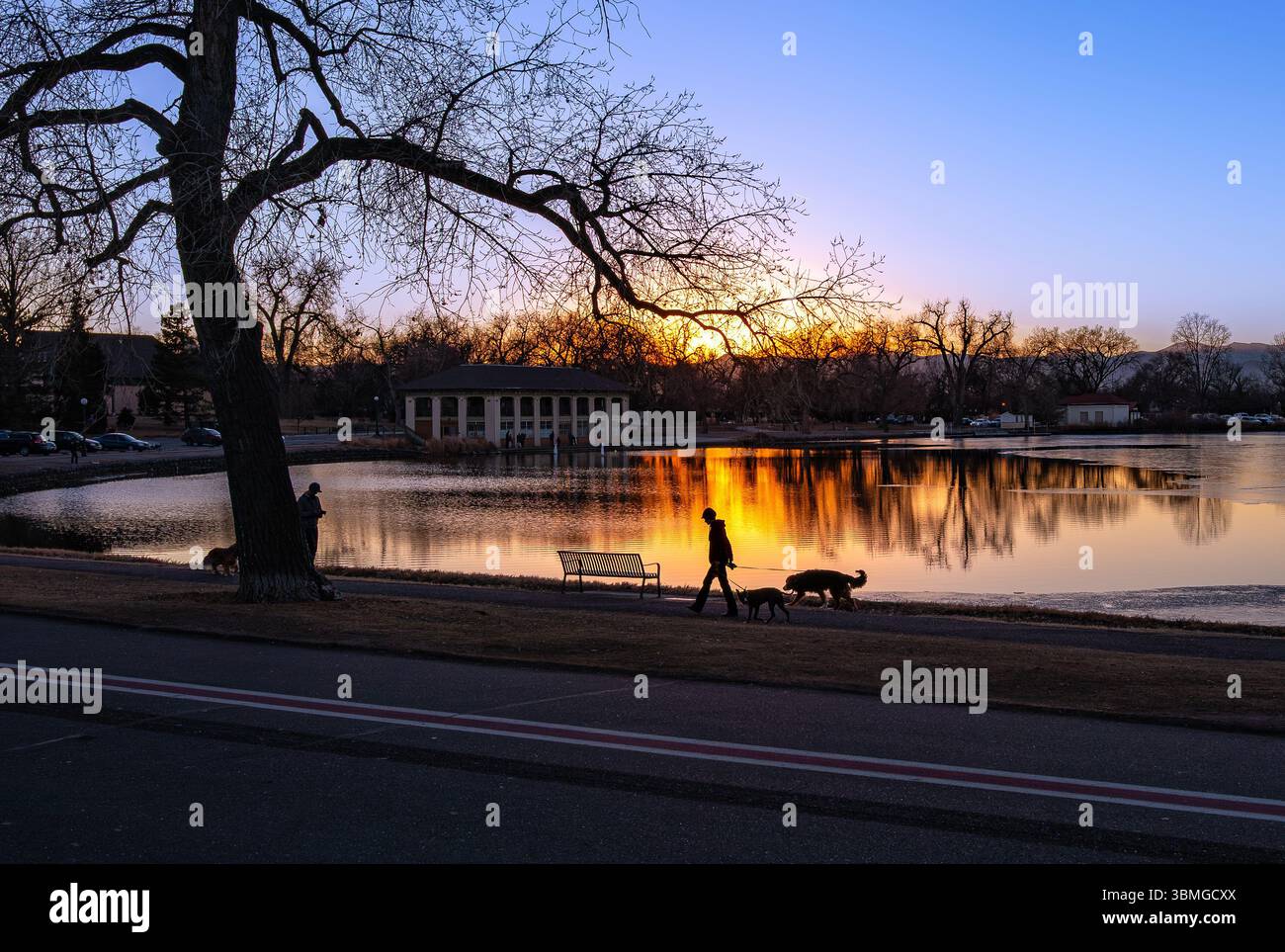 Un'immagine retroilluminata di un passeggio di cani al tramonto con un fascio di luce dorata colorata che si riflette sul lago al Washington Park di Denver, Colorado. Foto Stock