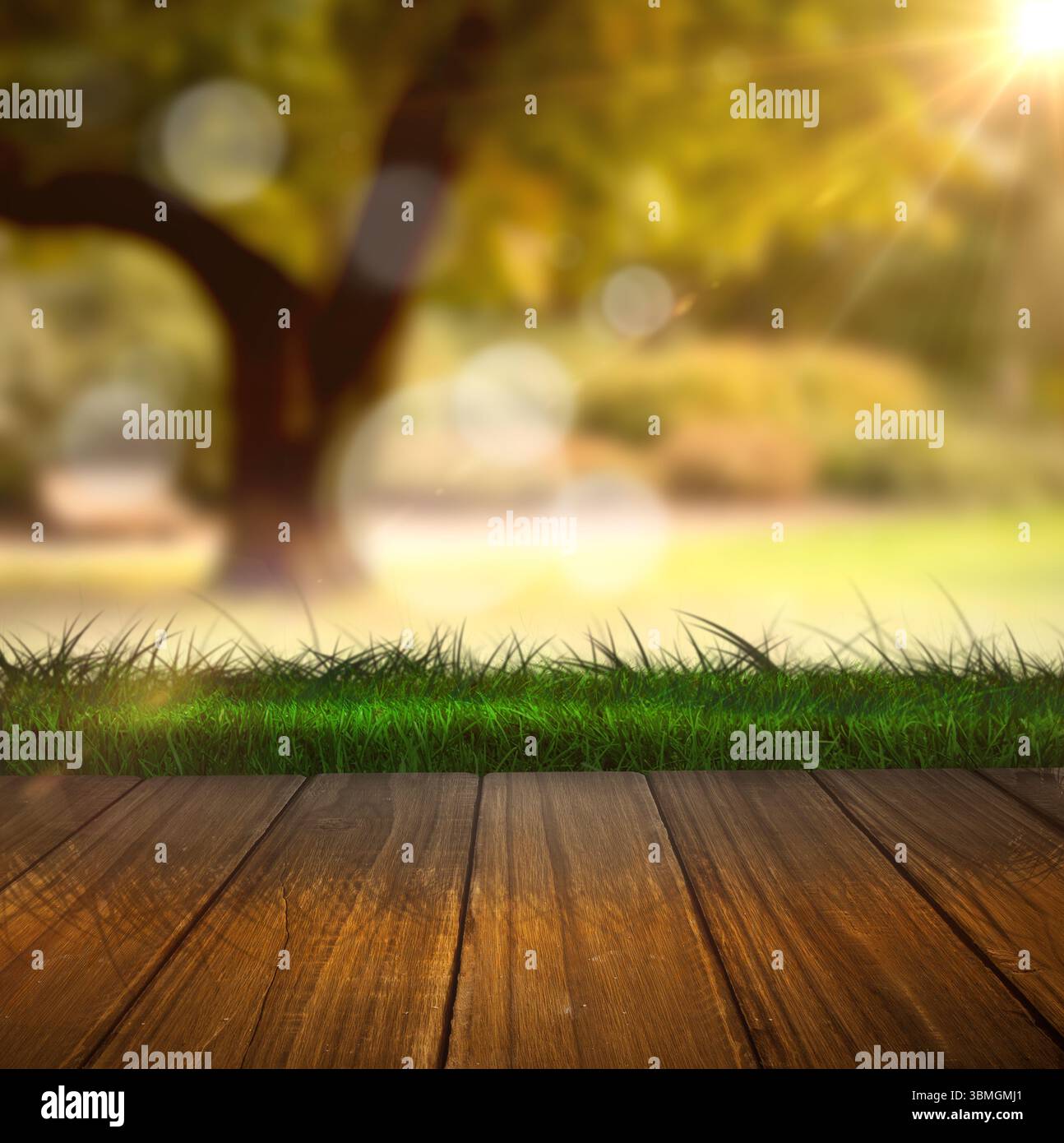 Il ponte in legno presenta un design piatto, un cortile sul retro illuminato dal sole con erba verde, tronco di albero sfocato, luce parassita delle lenti Foto Stock
