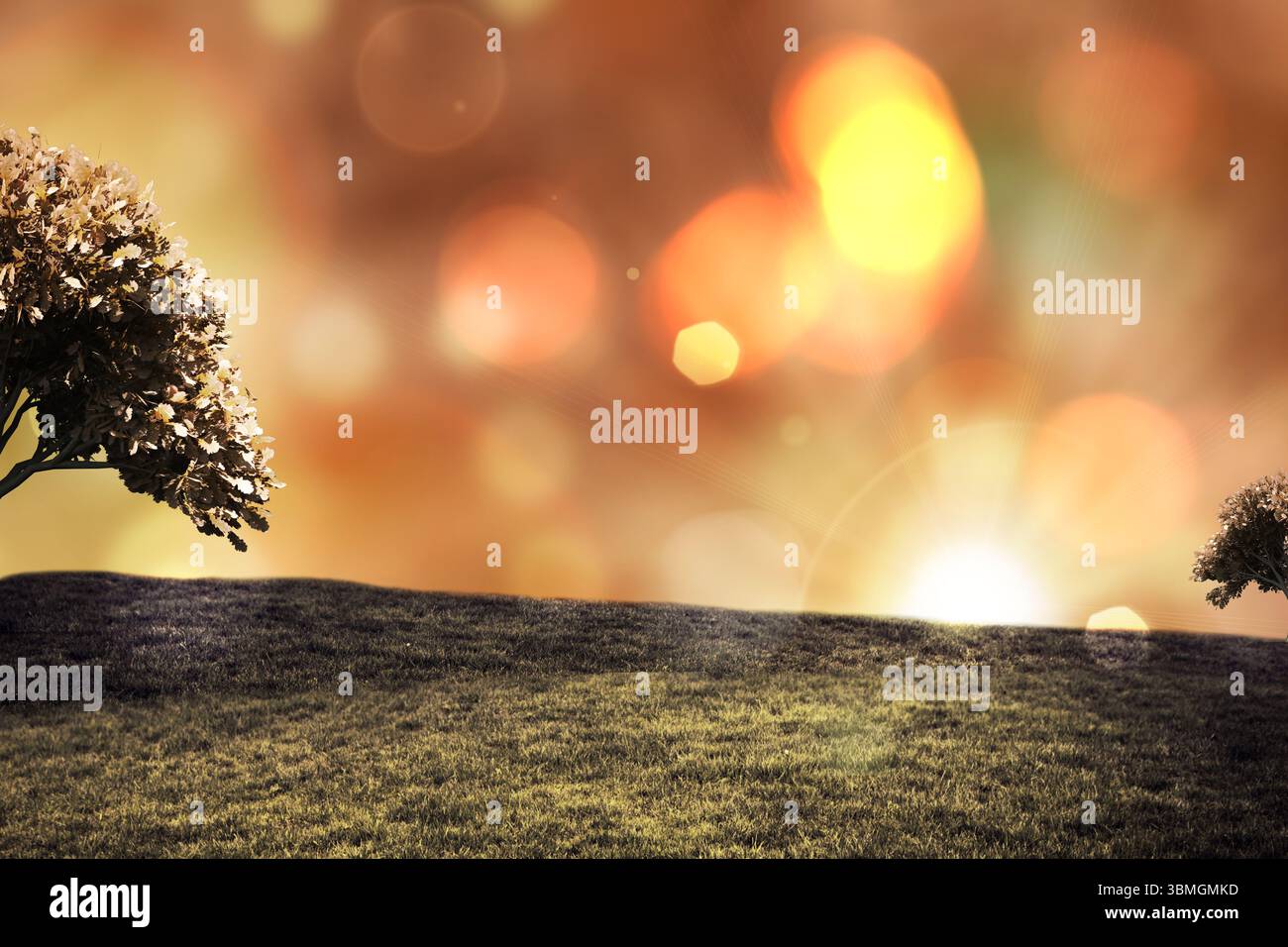 Contro le luci accese Foto Stock