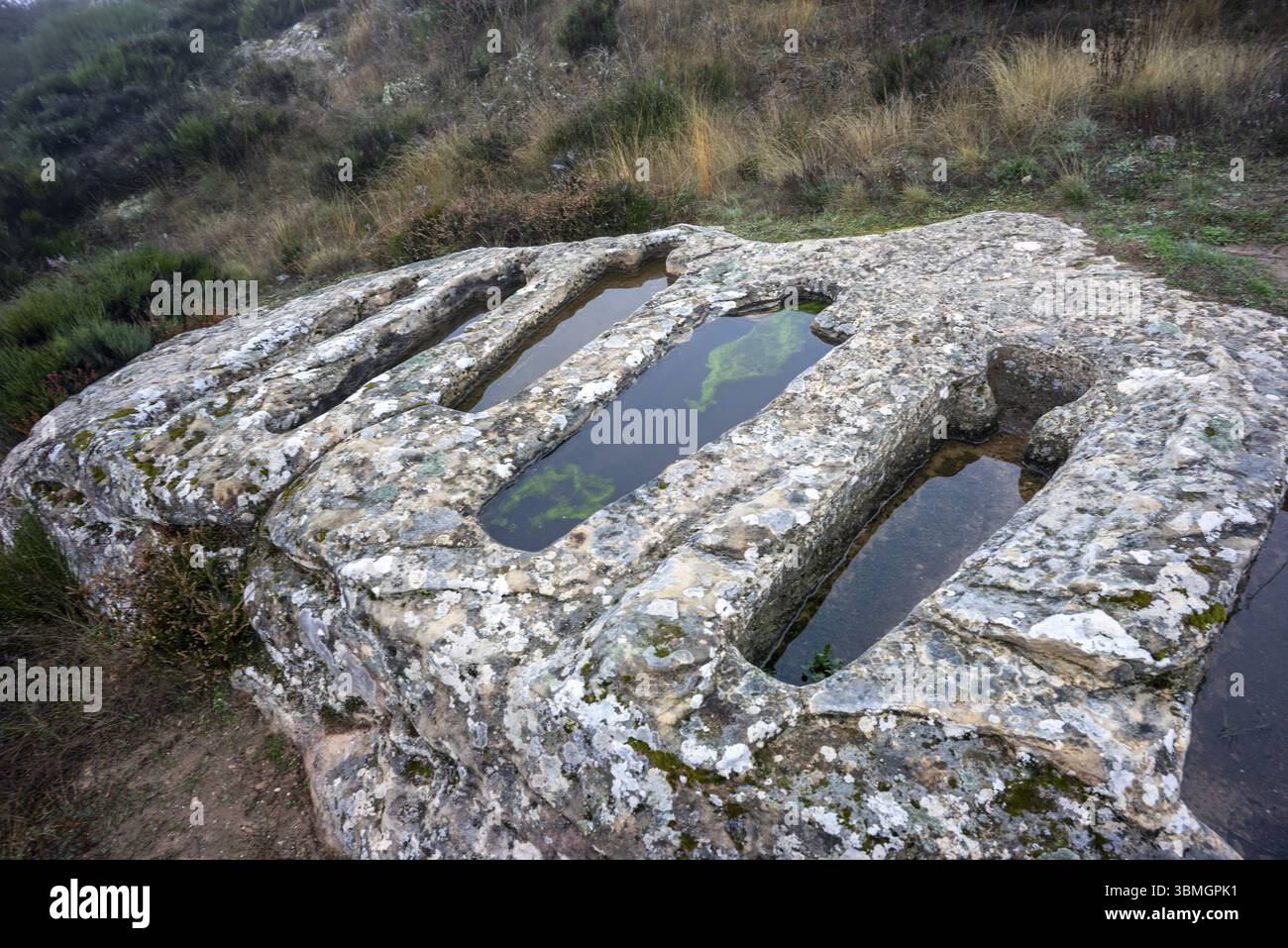 Necropoli di Santiuste a Corvio, Palencia, Comunità autonoma di Castiglia e León, Spagna, Europa Foto Stock