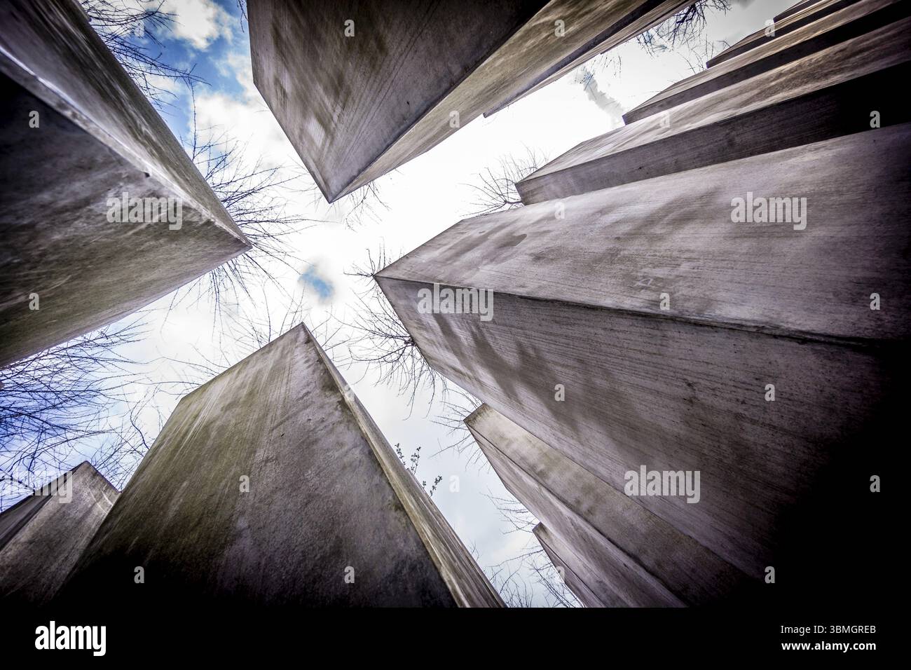 Giardino dell'esilio, Giardino Josef Hoffmann, Museo Ebraico di Berlino, progettato dall'architetto polacco Daniel Libeskinds, Berlino, Germania, Europa Foto Stock