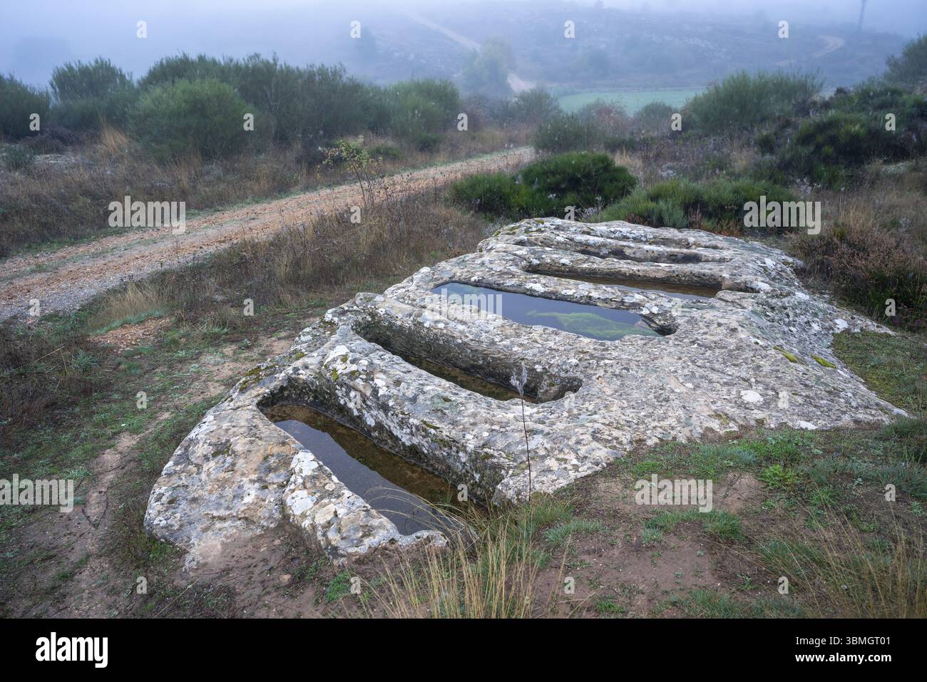 Necropoli di Santiuste a Corvio, Palencia, Comunità autonoma di Castiglia e León, Spagna, Europa Foto Stock