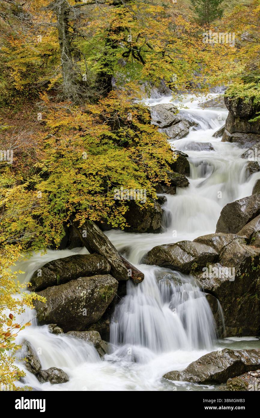 Corridoio verde del fiume Veral, valli occidentali, catena montuosa dei Pirenei, provincia di Huesca, Aragona, Spagna, Europa Foto Stock