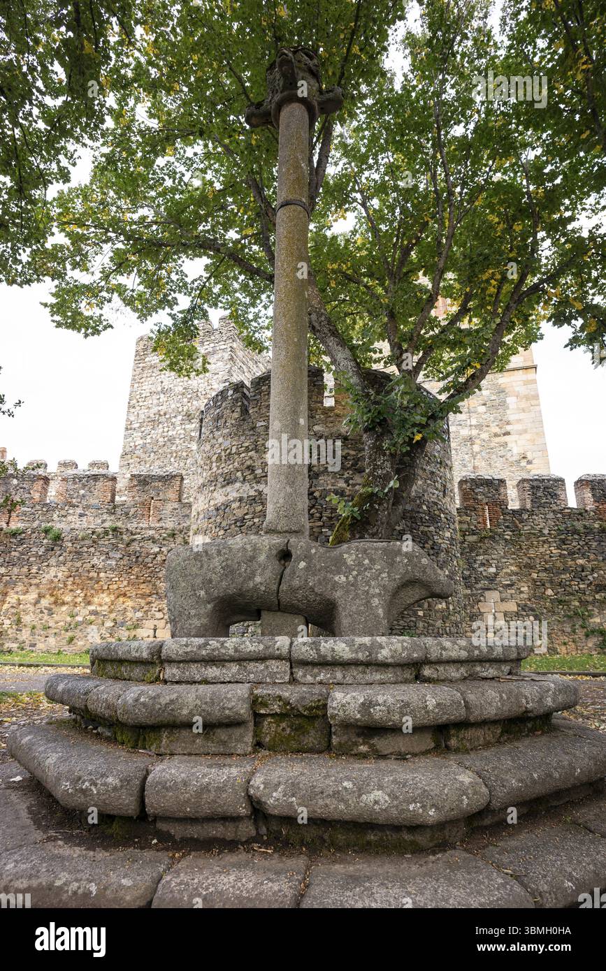 Gogna con cinghiale lusitano alla base, di origini celtiche, castello di Braganca (Castelo de Braganca), Braganza, Tras-os-Montes e alto Douro, porto Foto Stock
