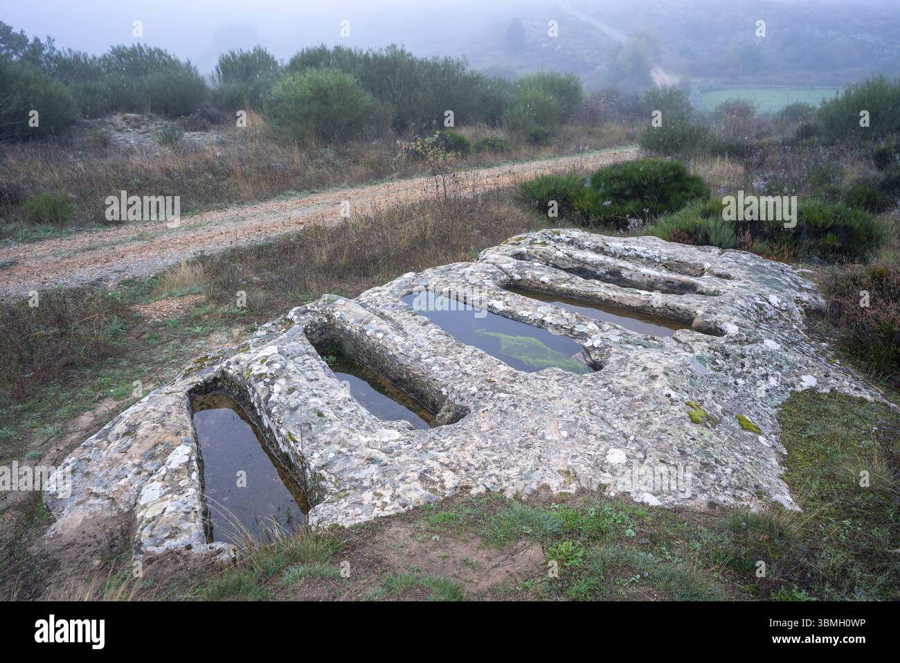 Necropoli di Santiuste a Corvio, Palencia, Comunità autonoma di Castiglia e León, Spagna, Europa Foto Stock