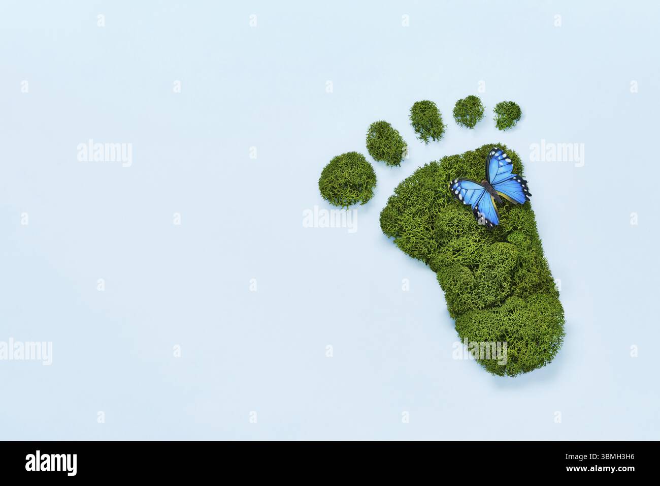 Eco creativo, tutela dell'ambiente, concetto di giornata terrestre. Impronta a piedi nudi in muschio verde naturale e farfalla su sfondo blu Foto Stock