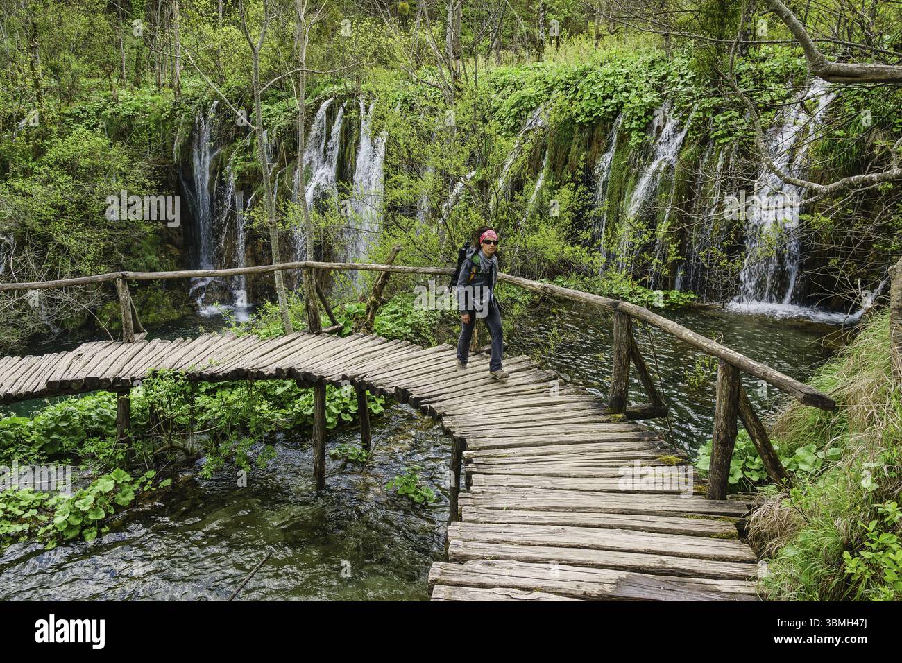 Sentiero escursionistico con sentieri pedonali, Parco Nazionale dei Laghi di Plitvice, Patrimonio dell'Umanità dell'UNESCO, Croazia, Europa Foto Stock
