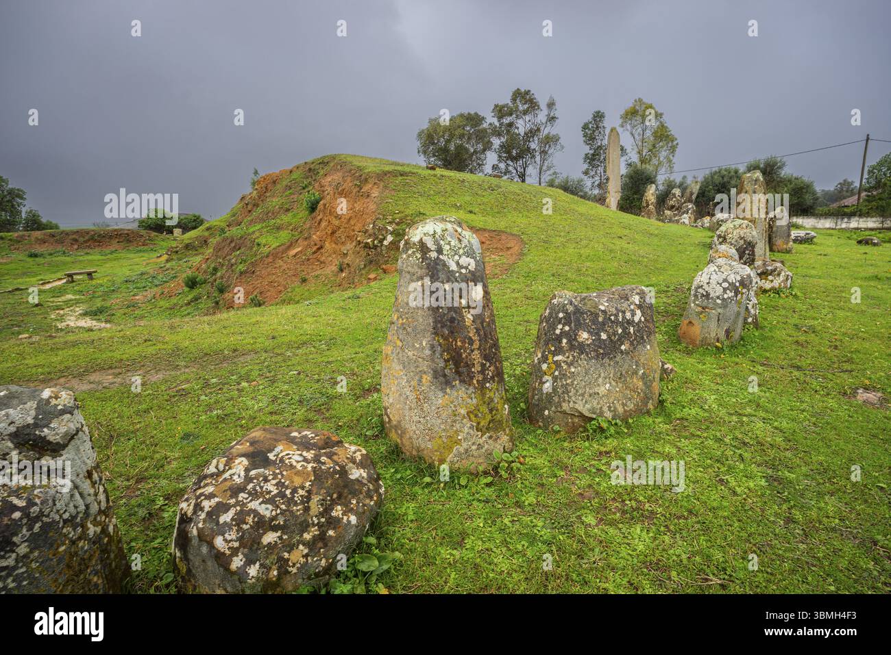 M'zora cromlech e menhir, recinzione megalitica, Neolitico medio, Chouahed, Marocco, nord Africa, Africa Foto Stock