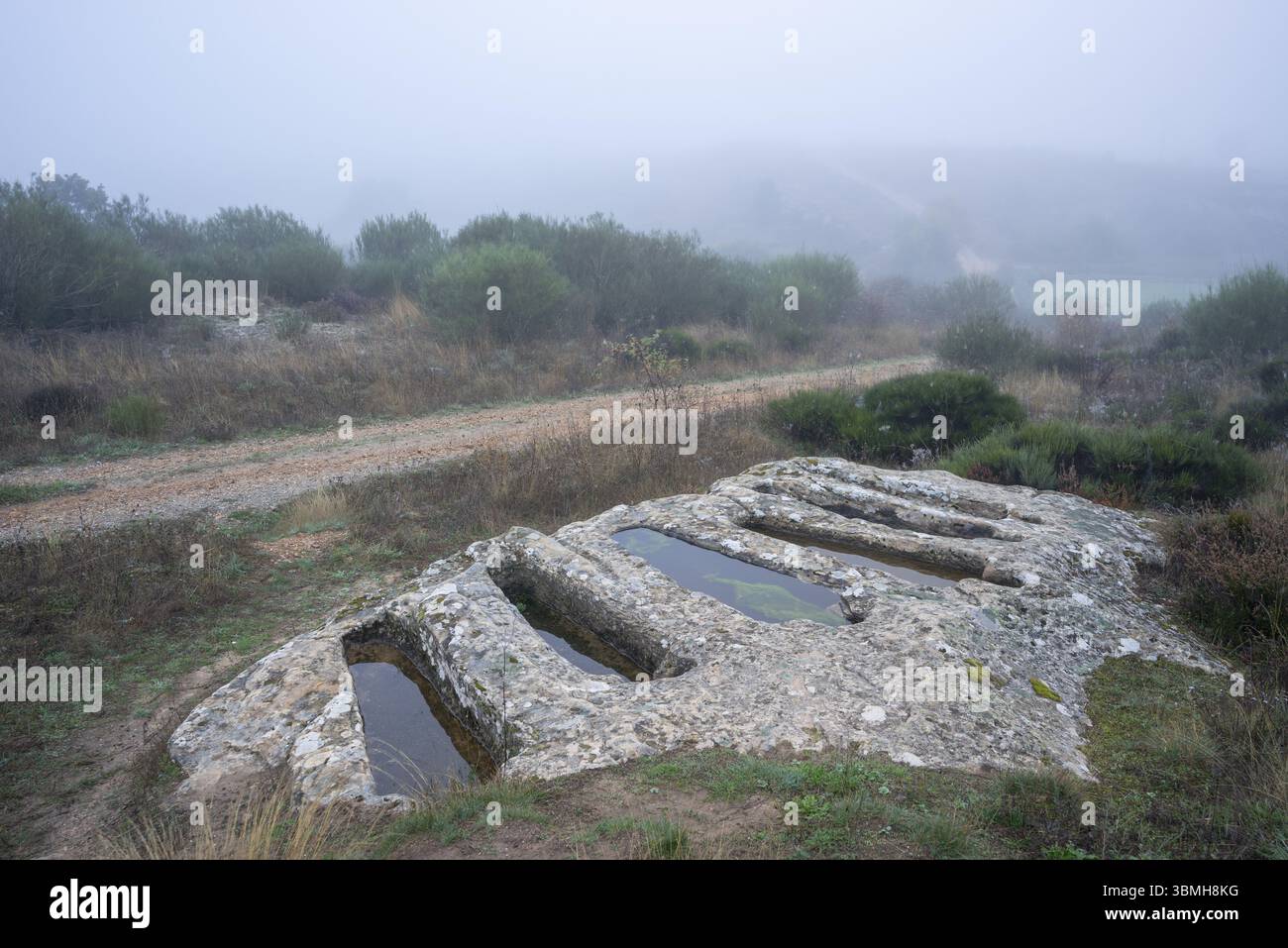 Necropoli di Santiuste a Corvio, Palencia, Comunità autonoma di Castiglia e León, Spagna, Europa Foto Stock