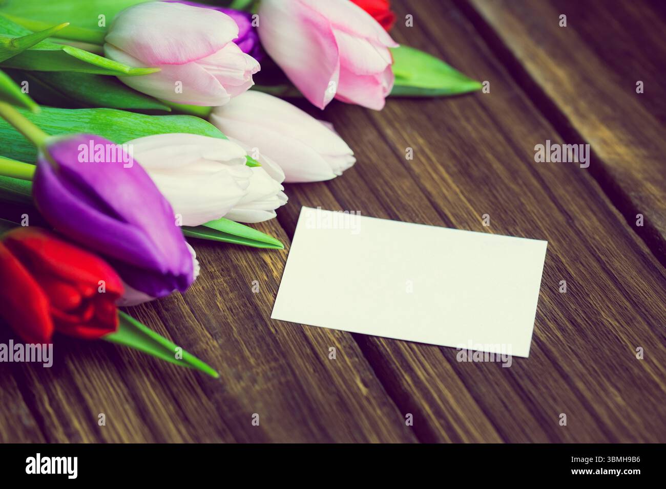Il design piatto mostra un gruppo di tulipani multicolori su un tavolo a lastre di legno con scheda bianca vuota Foto Stock
