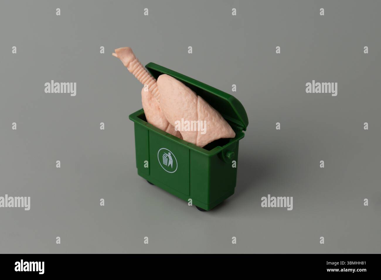 Un modello di polmoni umani all'interno di un cestino verde. Malattie polmonari, malattie respiratorie, gli effetti negativi dell'inquinamento o concetto di fumo. Foto Stock