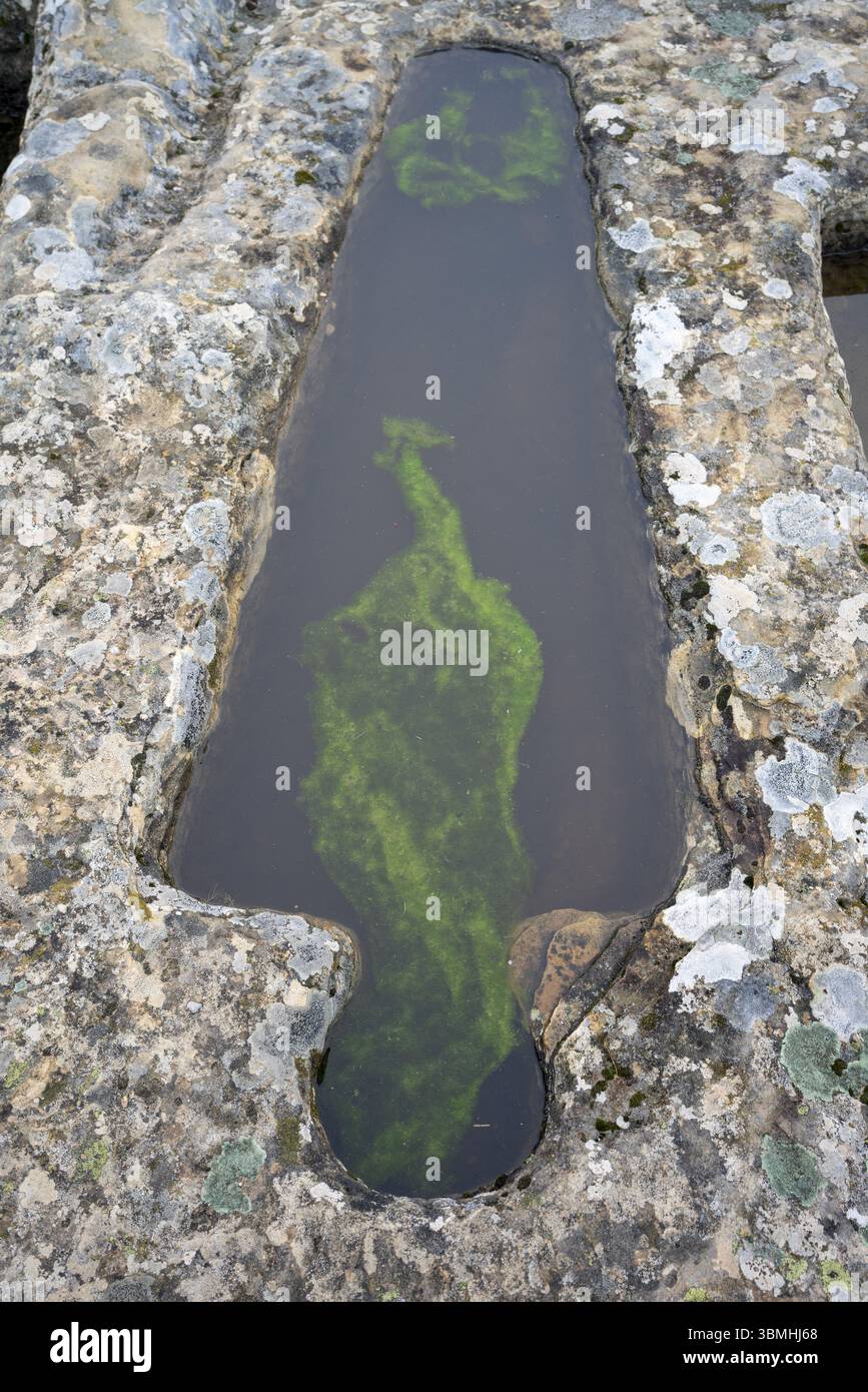 Necropoli di Santiuste a Corvio, Palencia, Comunità autonoma di Castiglia e León, Spagna, Europa Foto Stock