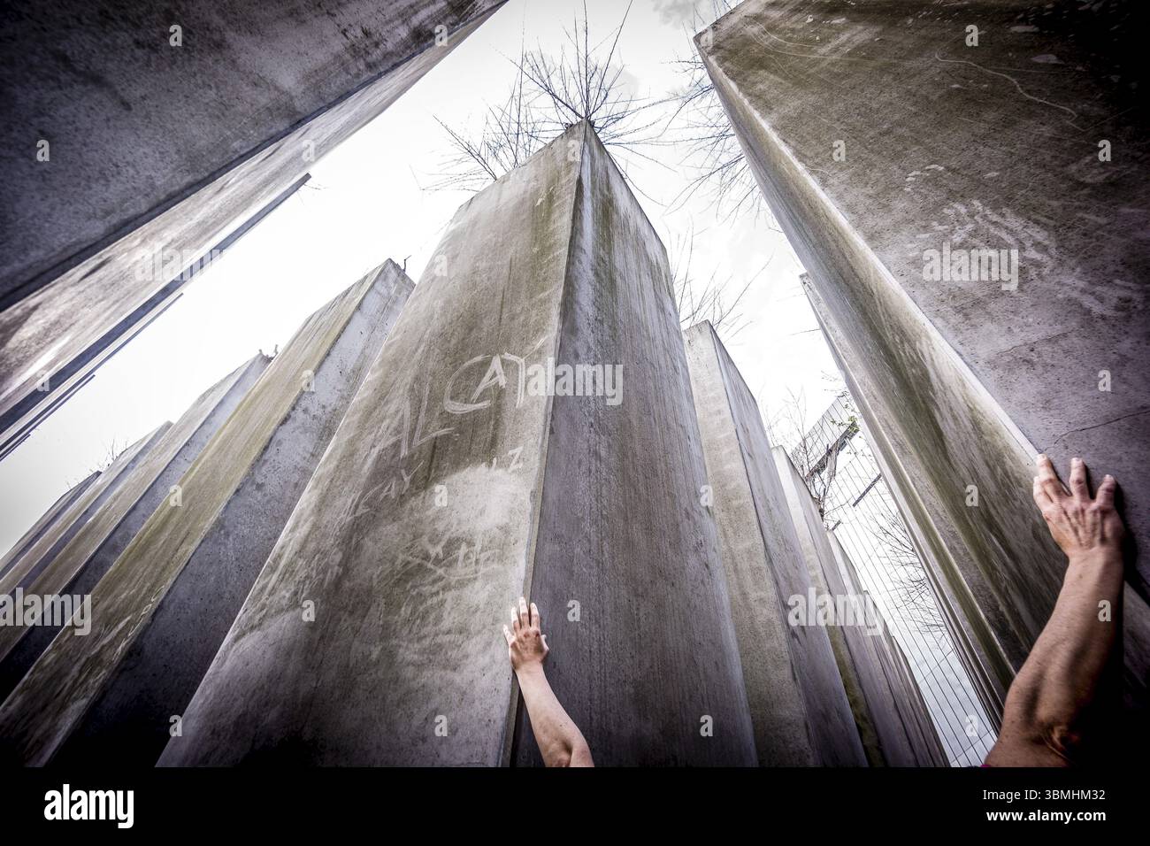 Giardino dell'esilio, Giardino Josef Hoffmann, Museo Ebraico di Berlino, progettato dall'architetto polacco Daniel Libeskinds, Berlino, Germania, Europa Foto Stock