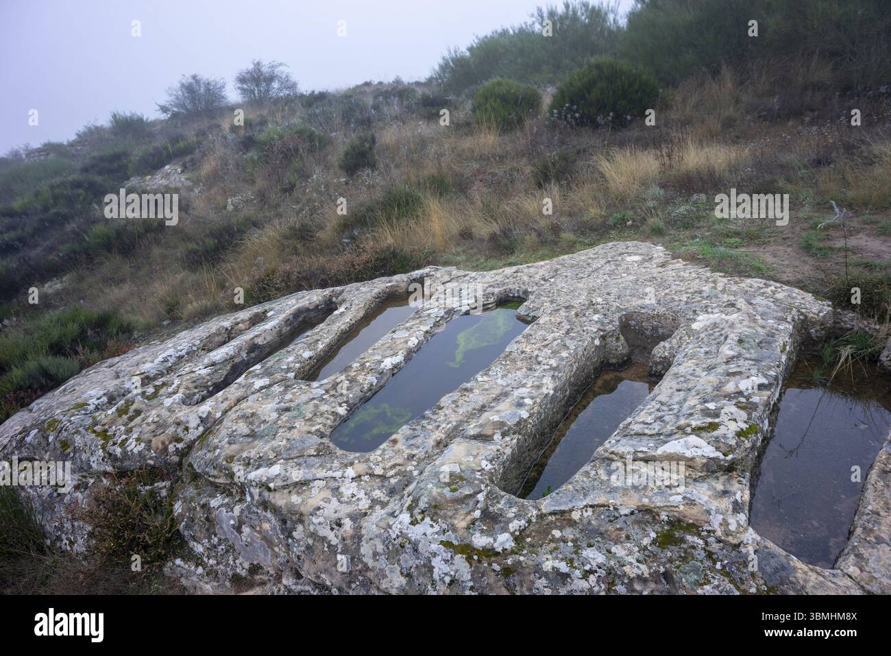 Necropoli di Santiuste a Corvio, Palencia, Comunità autonoma di Castiglia e León, Spagna, Europa Foto Stock