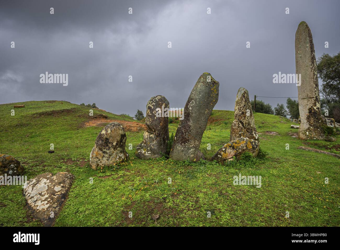 M'zora cromlech e menhir, recinzione megalitica, Neolitico medio, Chouahed, Marocco, nord Africa, Africa Foto Stock