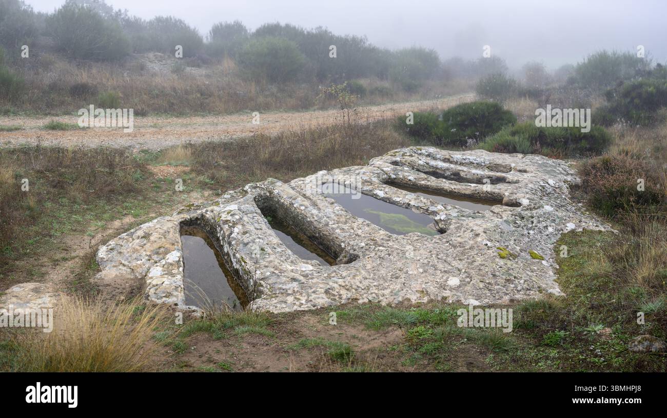 Necropoli di Santiuste a Corvio, Palencia, Comunità autonoma di Castiglia e León, Spagna, Europa Foto Stock