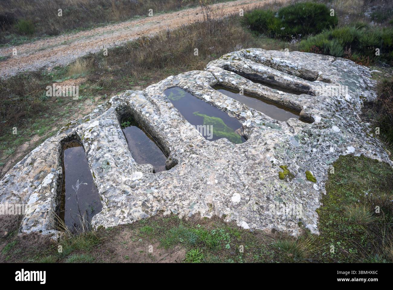 Necropoli di Santiuste a Corvio, Palencia, Comunità autonoma di Castiglia e León, Spagna, Europa Foto Stock