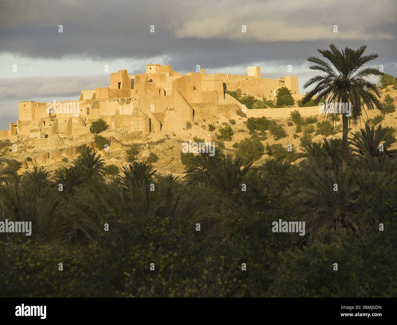 Kasbah berbera, pueblo di Tioute, Valle di Sous, Antiatlas, Marocco, Africa Foto Stock