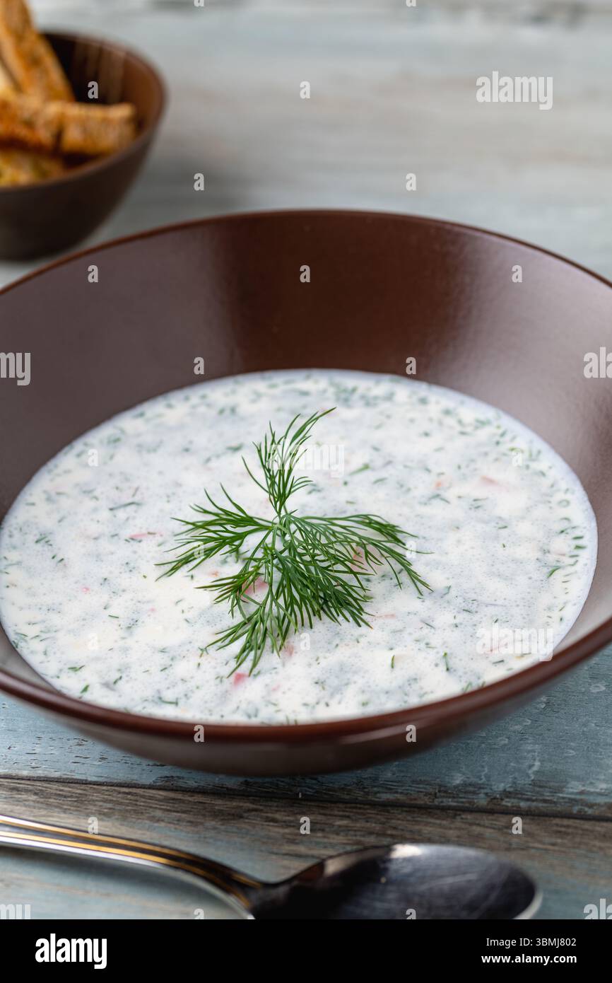 Zuppa fredda di yogurt con cetriolo, aneto ed erbe fresche Foto Stock