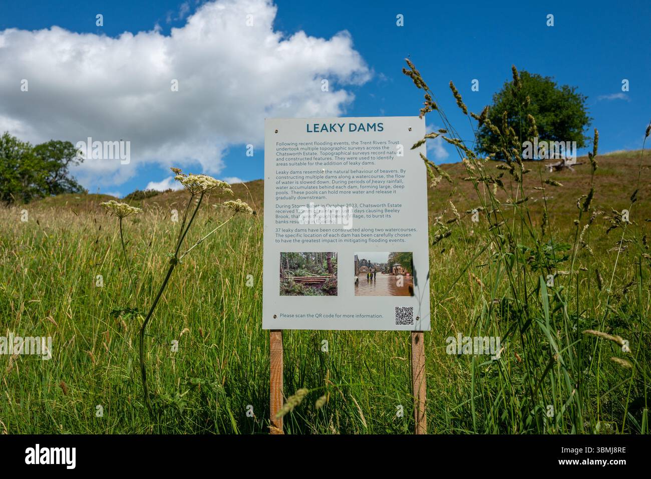 Cartello o bacheca che spiega lo scopo di una diga Leaky che copia il comportamento dei castori costruendo una serie di dighe per rallentare il fiume. Foto Stock