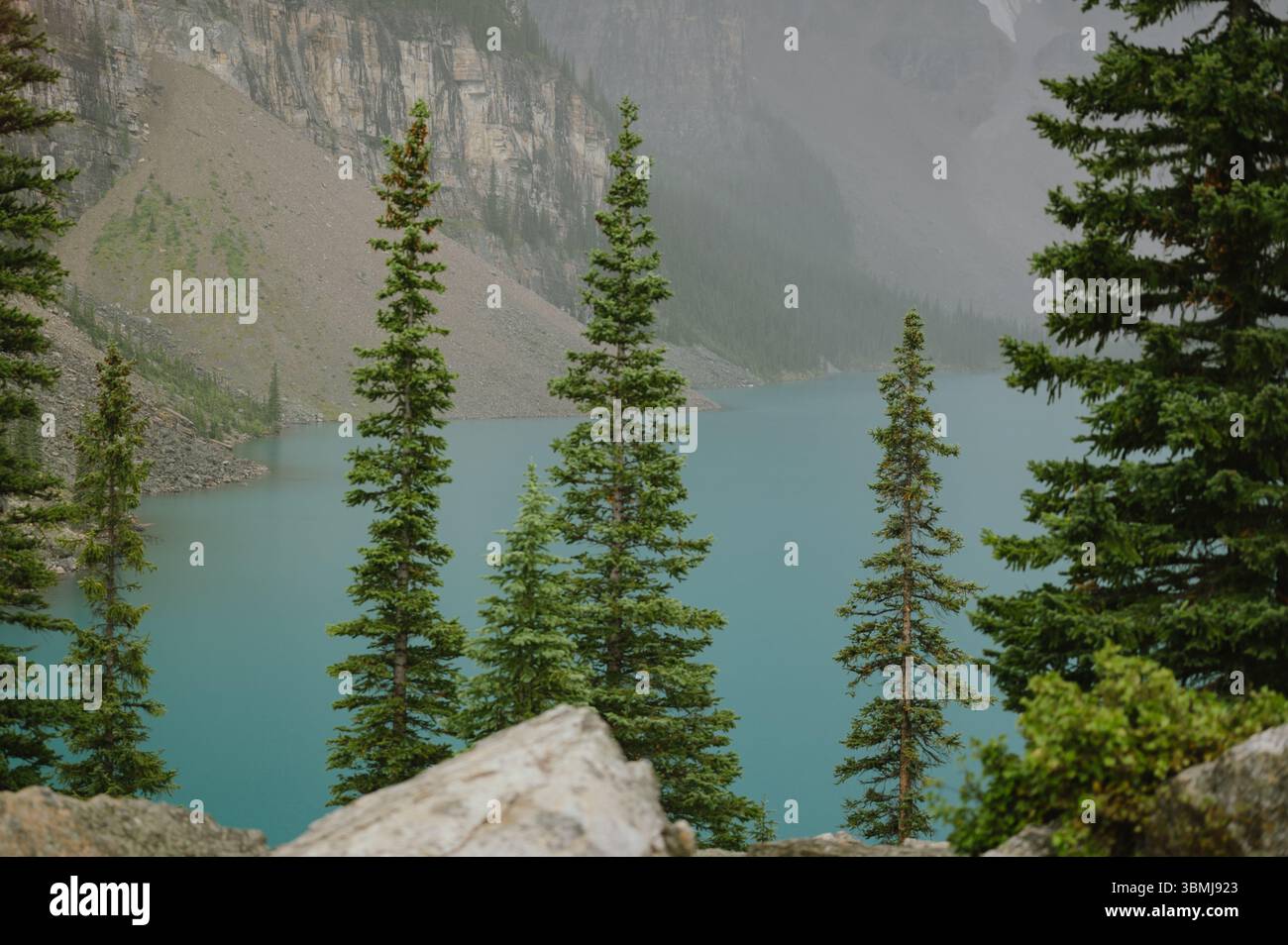 Lago Foggy Moraine con acque turchesi e pinete in primo piano Foto Stock