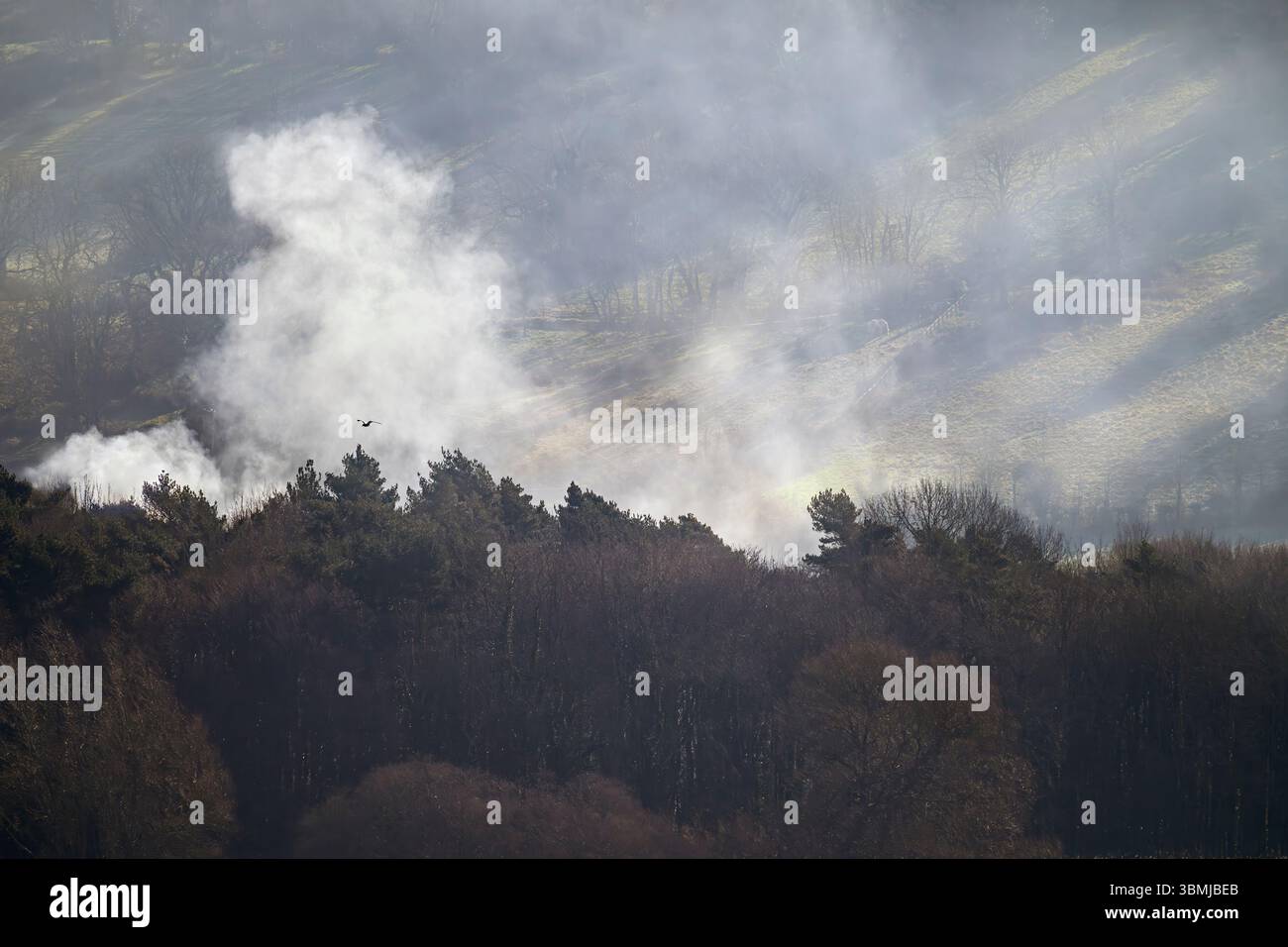 Il sole presto scende giù dalle colline in linea con la nebbia scattata al lago Chew Valley, North Somerset, Regno Unito, subito dopo l'alba Foto Stock