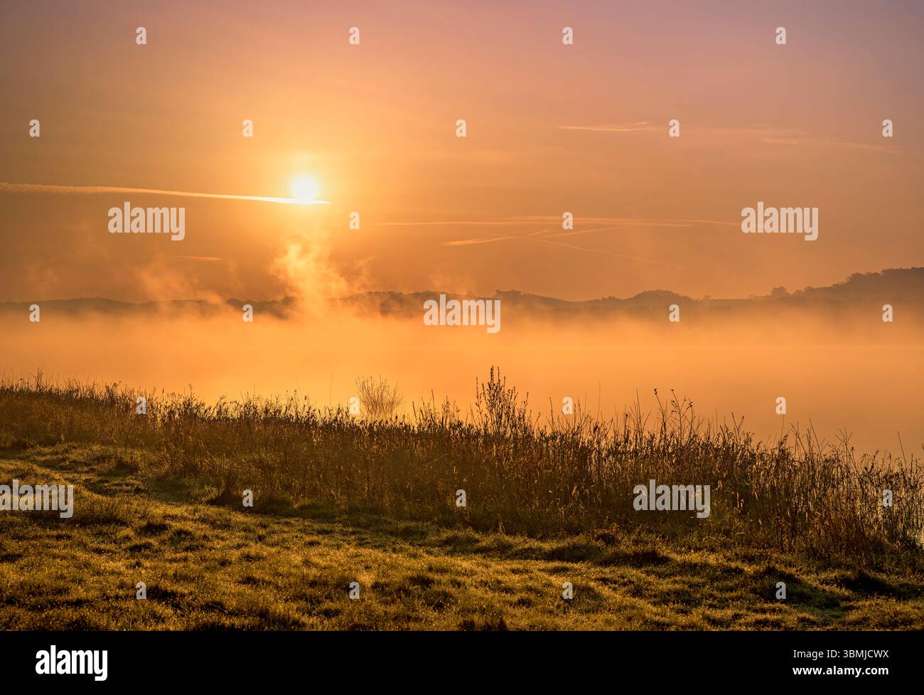 Tendini di nebbia che si innalzano verso il sole subito dopo l'alba al lago Chew Valley, Somerset, Regno Unito Foto Stock
