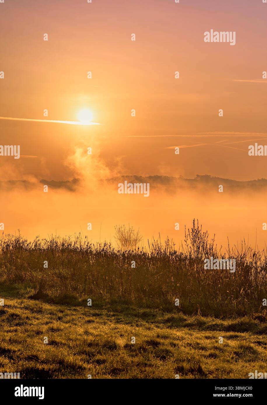 Tendini di nebbia che si innalzano verso il sole subito dopo l'alba al lago Chew Valley, Somerset, Regno Unito Foto Stock