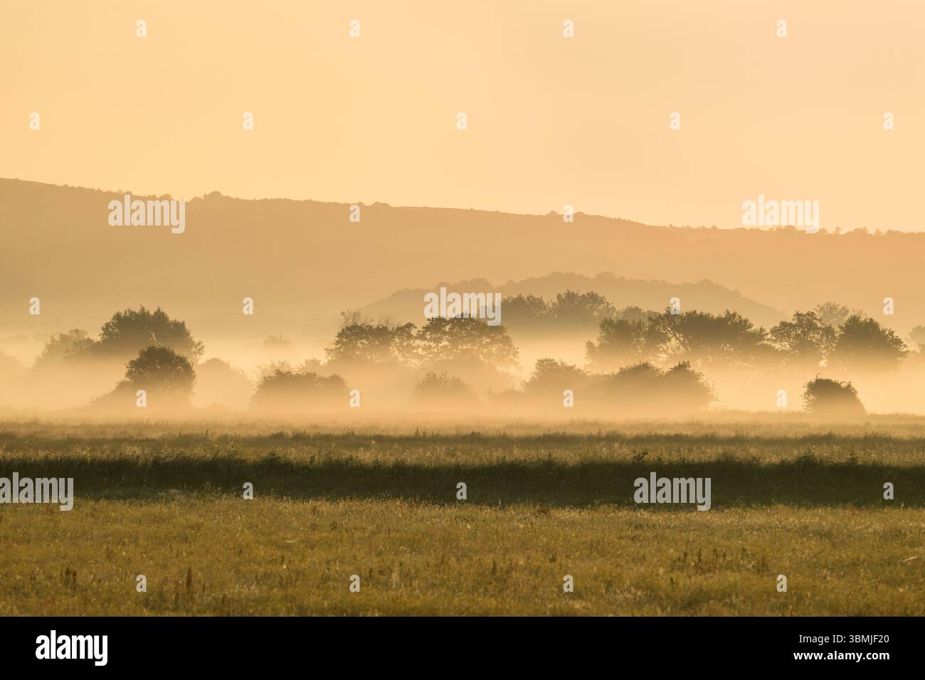 Graziosa scena rurale di campagna con nebbia di prima mattina subito dopo l'alba, scattata nei pressi di Meare, Somerset, Regno Unito Foto Stock