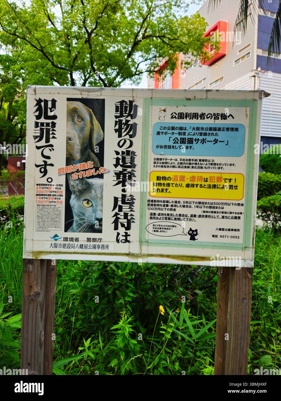 Cartello del parco di Osaka avvertimento contro l'abbandono e l'abuso degli animali - "è un crimine" Foto Stock
