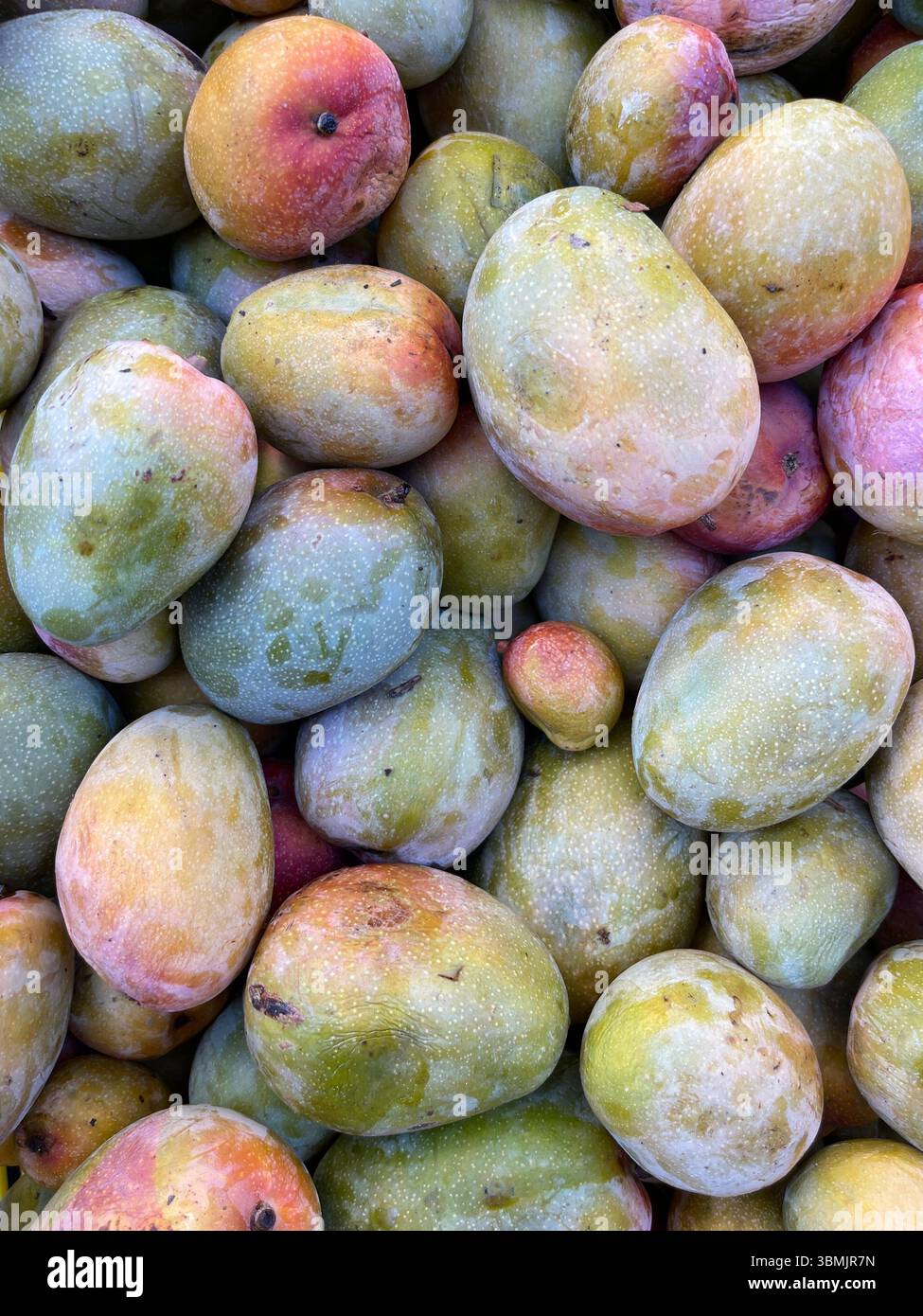 Mango egiziano, frutta estiva, vista dall'alto. Foto Stock
