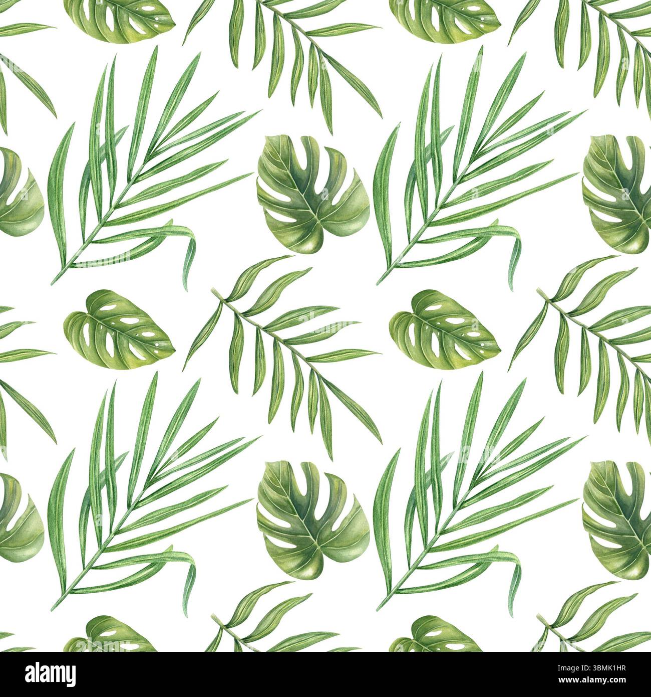 Foglie tropicali acquerello sfondo isolato senza cuciture. Illustrazioni in foglia di palma dipinte a mano, filodendron, areca per carta da parati Foto Stock