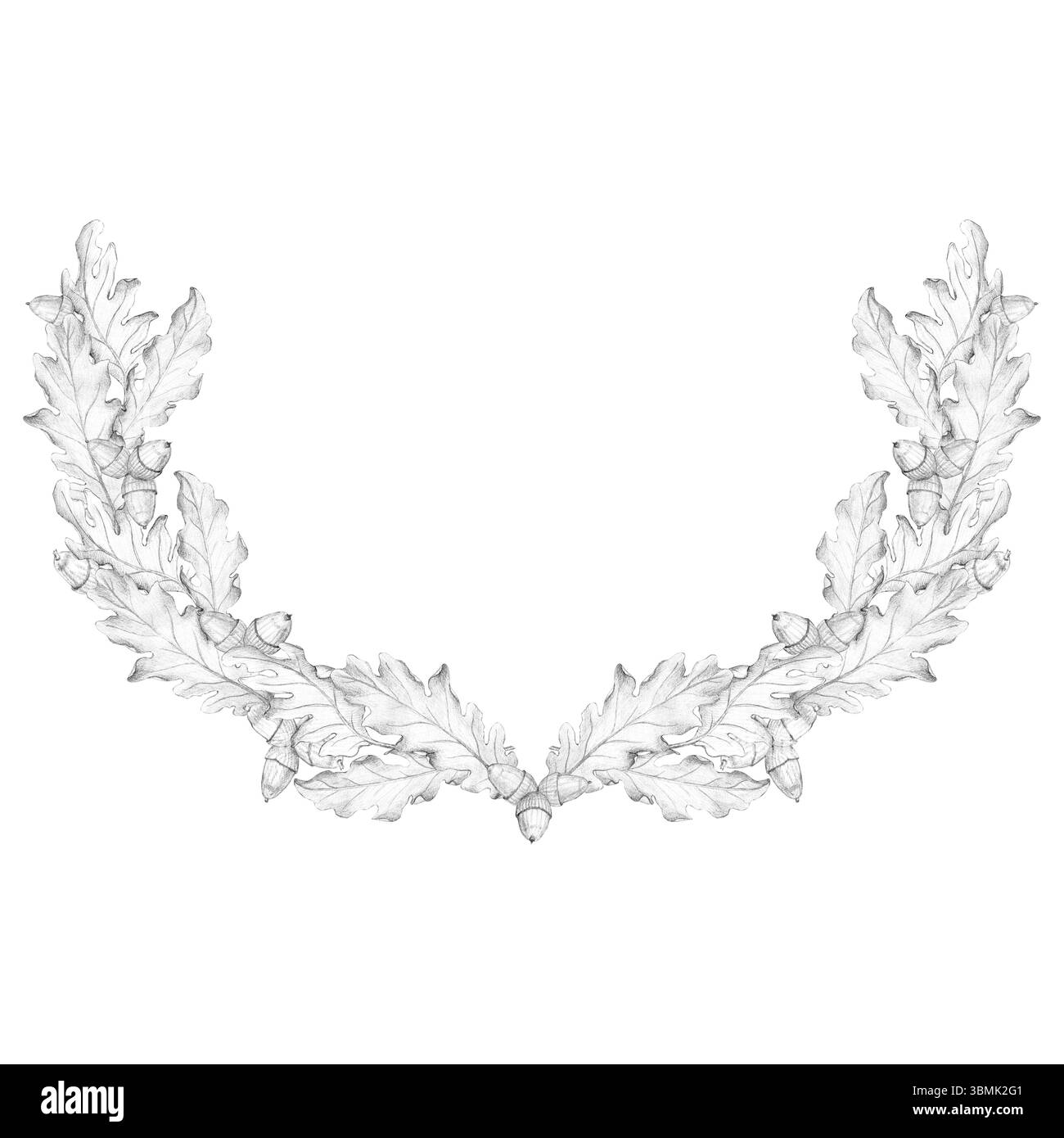 La corona del vincitore, una corona di quercia con foglie e ghiande, si distingue su uno sfondo bianco. Il simbolo di Ligo è il solstizio. Disegno a matita, Foto Stock