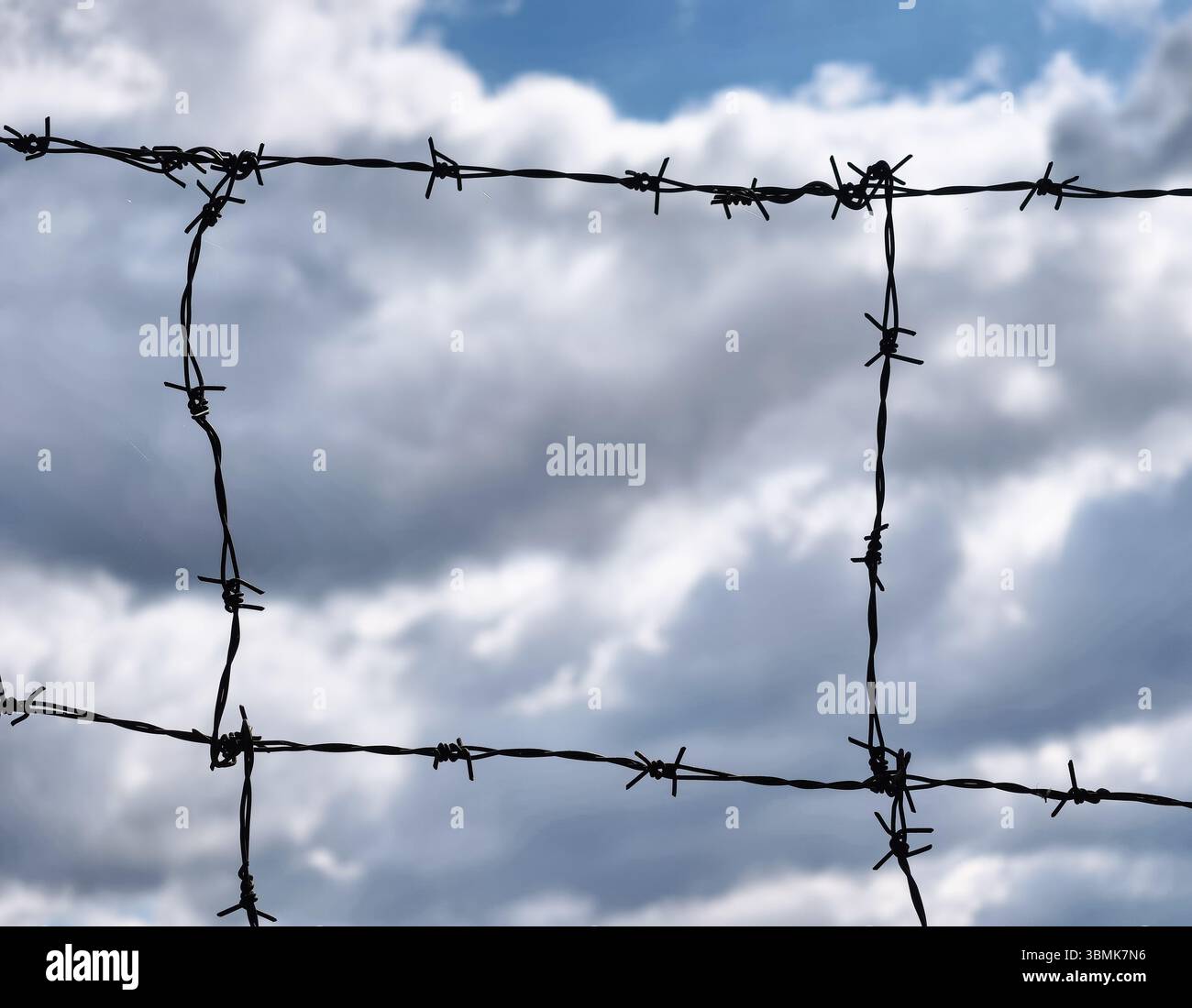 Recinzione in filo spinato contro un cielo spettacolare, simboleggiando confini, sicurezza e natura in un'immagine straordinaria. Perfetto per la progettazione di marketing e il modello di presentazione Foto Stock